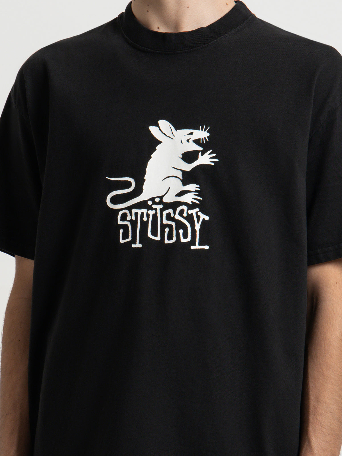 Stussy Rat 50/50 Heavyweight T-Shirt in Pigment Black | Black