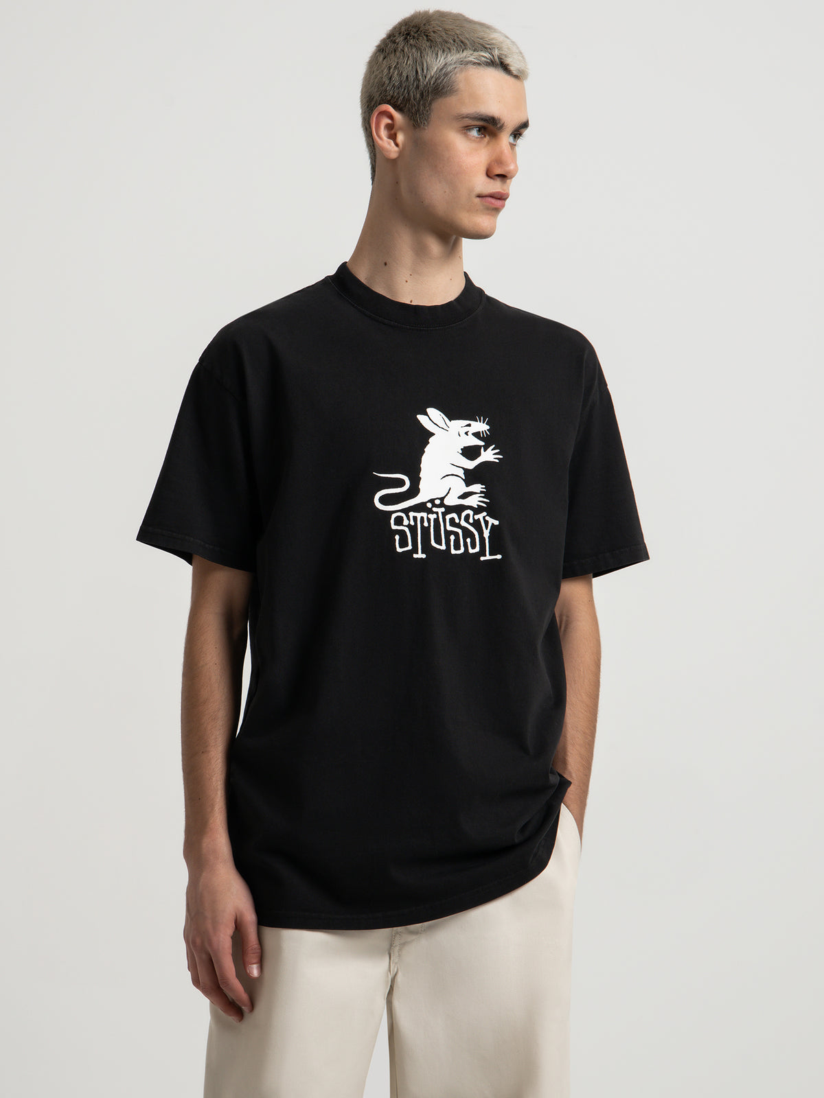 Stussy Rat 50/50 Heavyweight T-Shirt in Pigment Black | Black