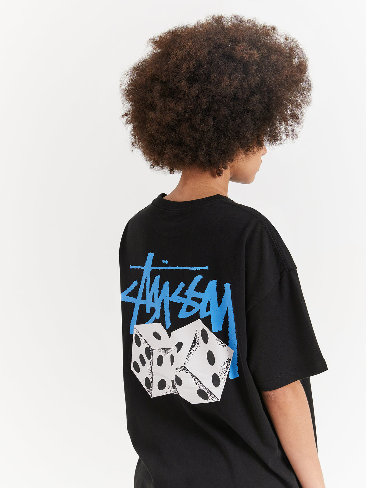 Stussy Pair Of Dice Heavyweight Relaxed T-Shirt in Black | Black