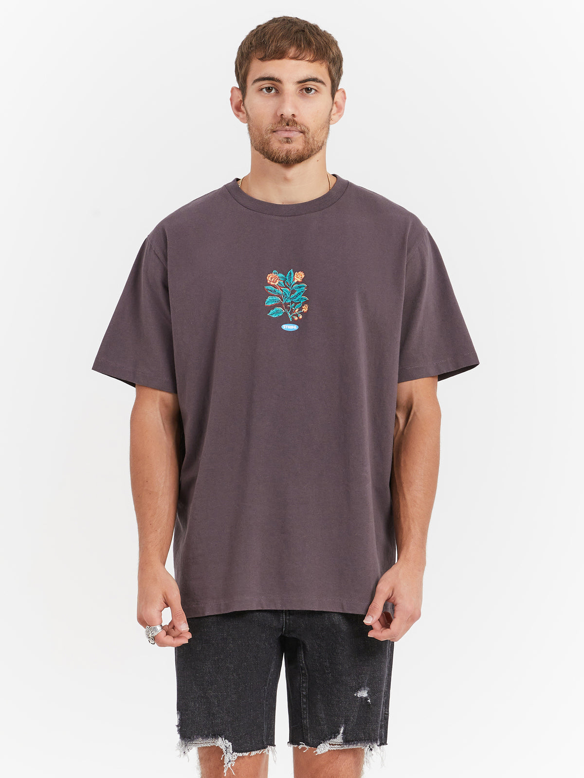 Thrills Healing Properties Merch Fit T-Shirt in Plum | Plum