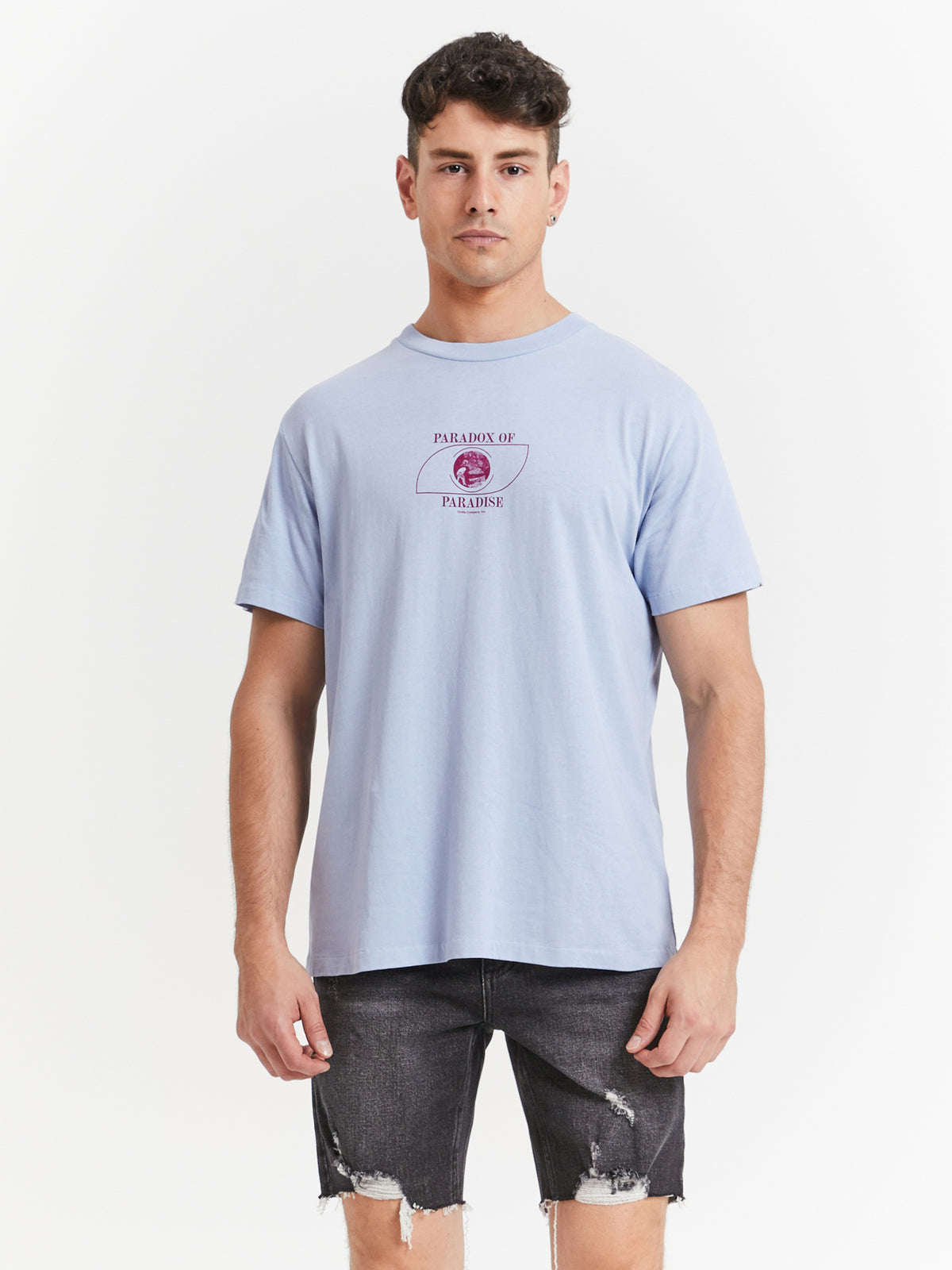 Thrills Portrait Of Paradise Merch Fit T-Shirt in Sky Blue | Sky Blue