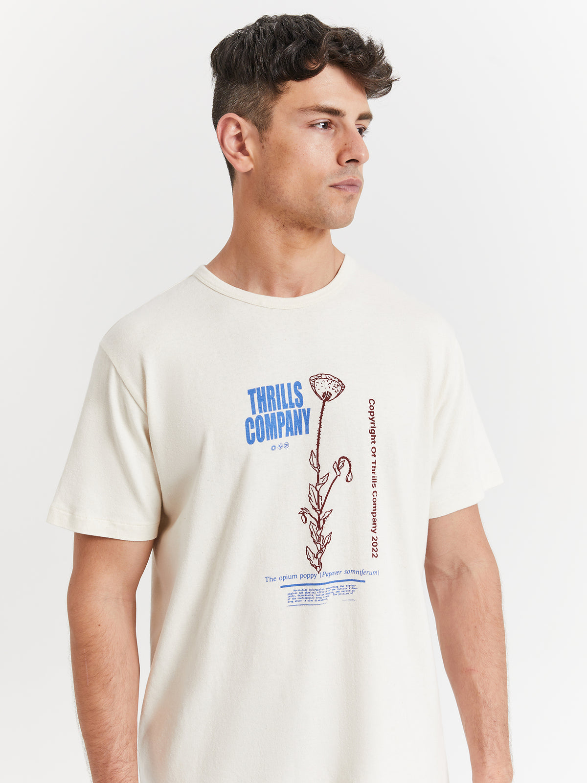 Thrills Hemp Natural Effects Merch Fit T-Shirt in Unbleached | Unbleached