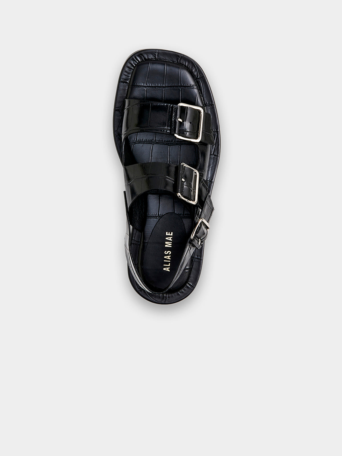 Alias Mae Keri Sandals in Black Croc | Black Croc