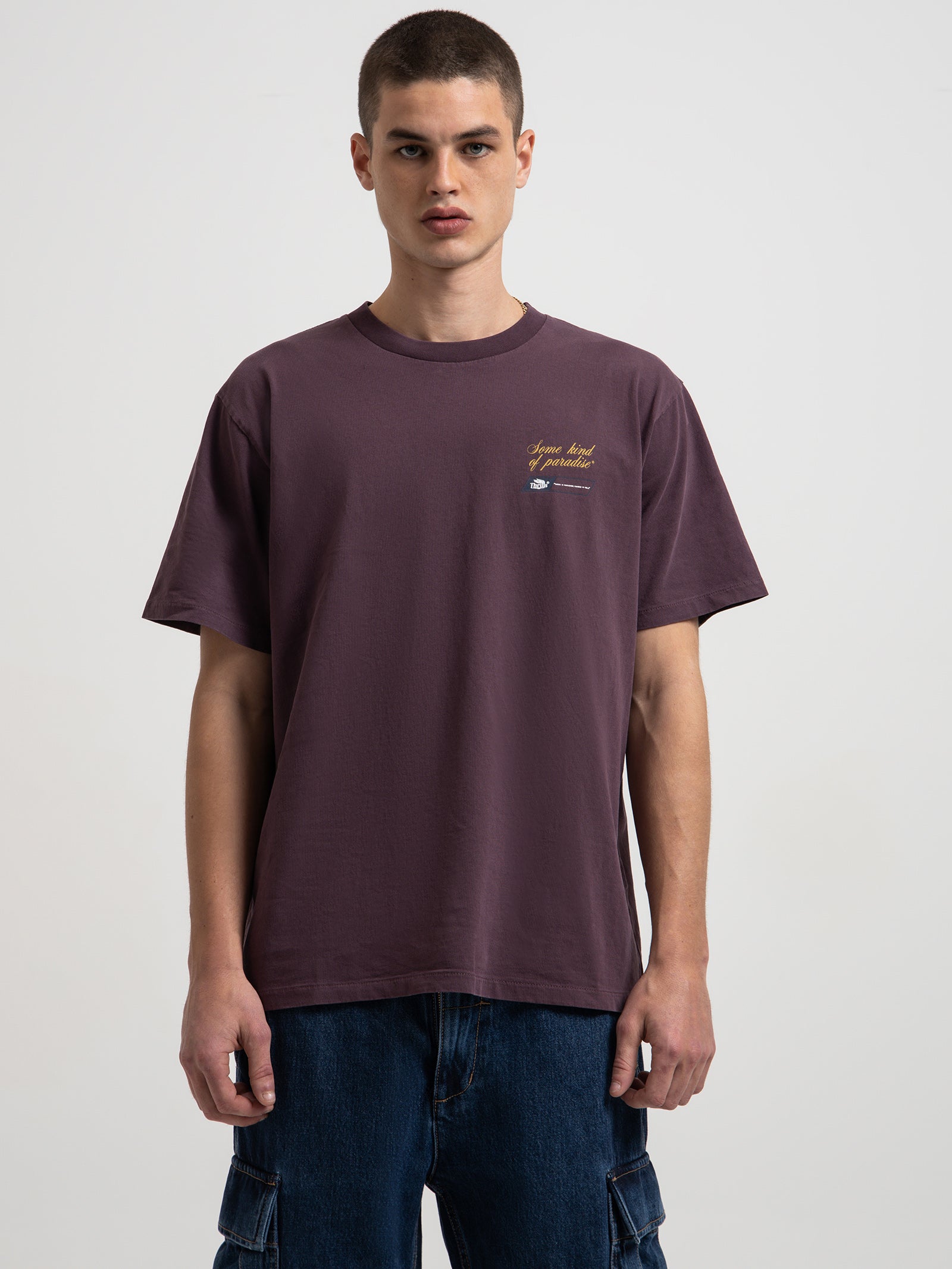 Thrills Superior Merch Fit T-Shirt in Raisin Port | Glue Store