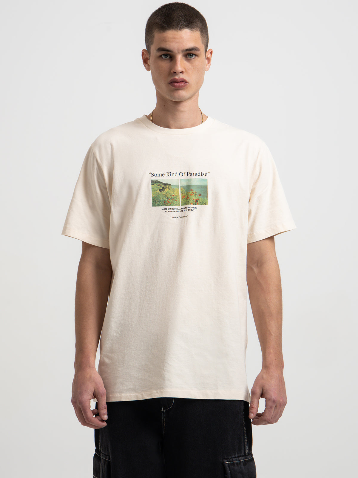 Thrills Paradise Around Us Merch Fit T-Shirt in White | White