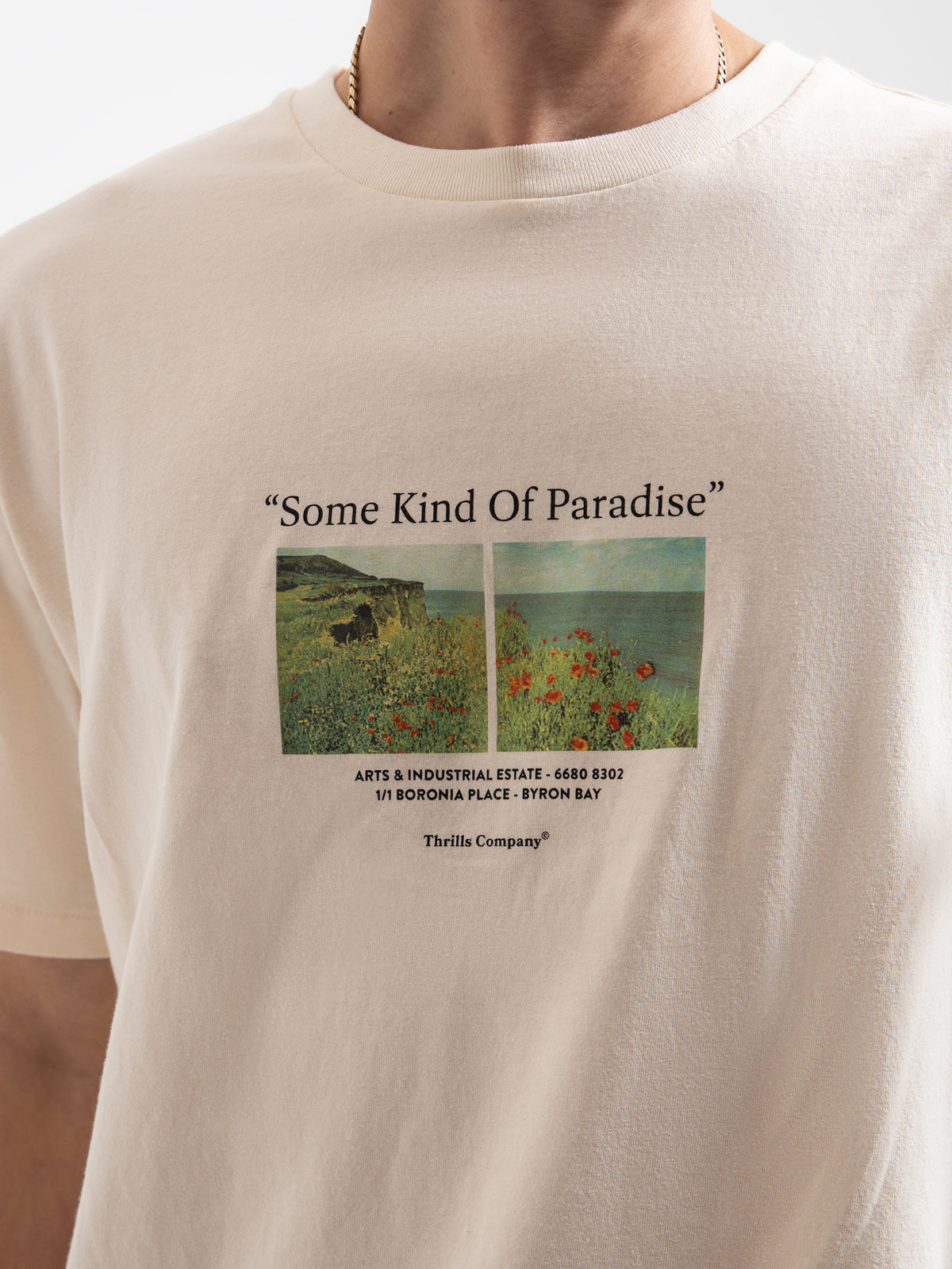 Thrills Paradise Around Us Merch Fit T-Shirt in White | White