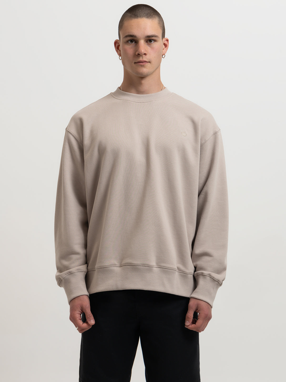 Adidas Adicolor Contempo Crew French Terry Sweatshirt in Wonder Beige | Beige