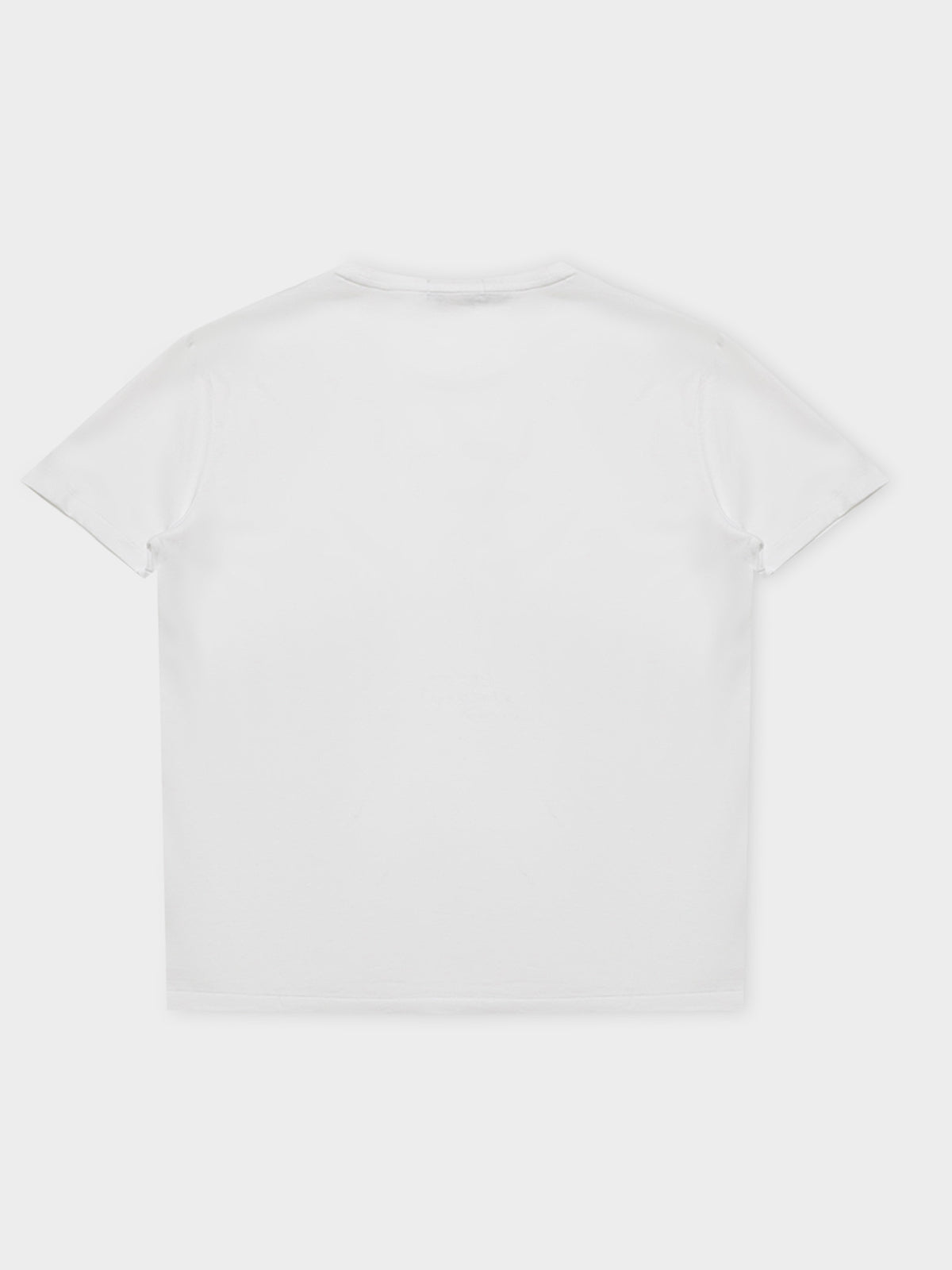 Polo Ralph Lauren Denim Bear T-Shirt in White | White