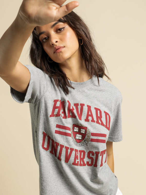 Harvard Seal Logo Lines T-Shirt in Grey Marle - Glue Store
