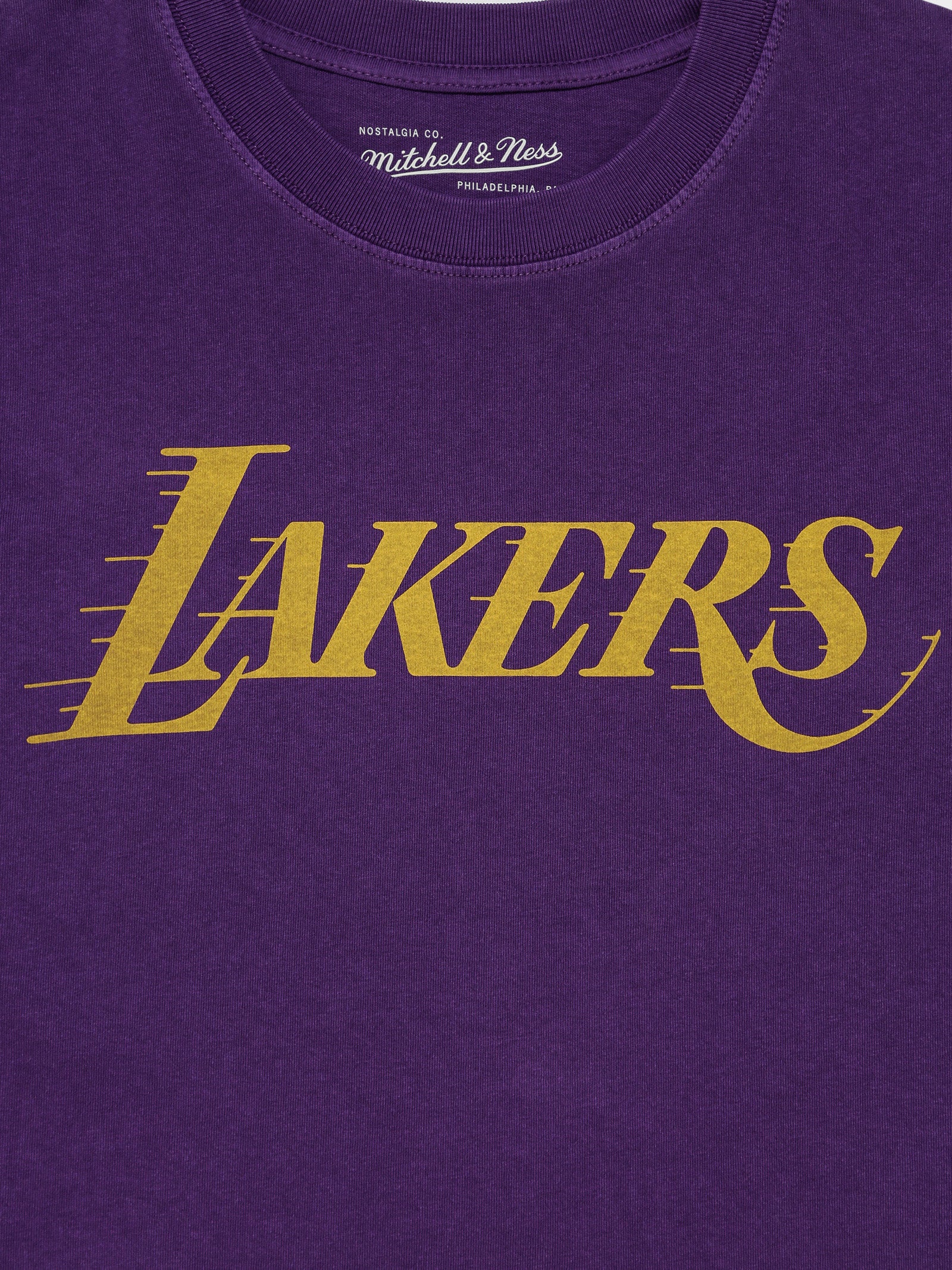 LA Lakers Vintage Championship T-Shirt in Faded Purple - Glue Store