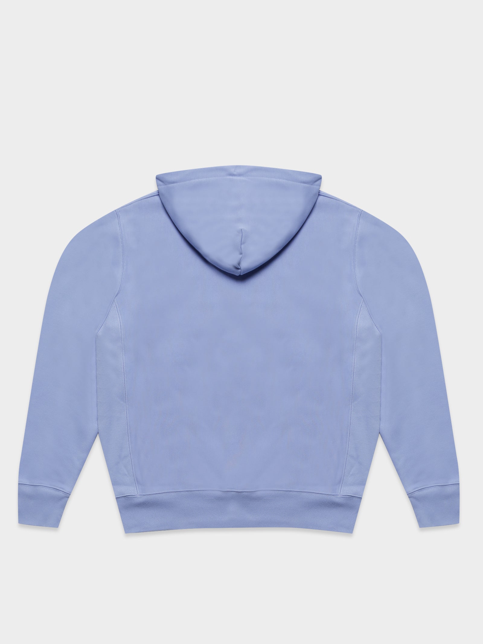 Reverse Weave Hoodie in Charming Blue