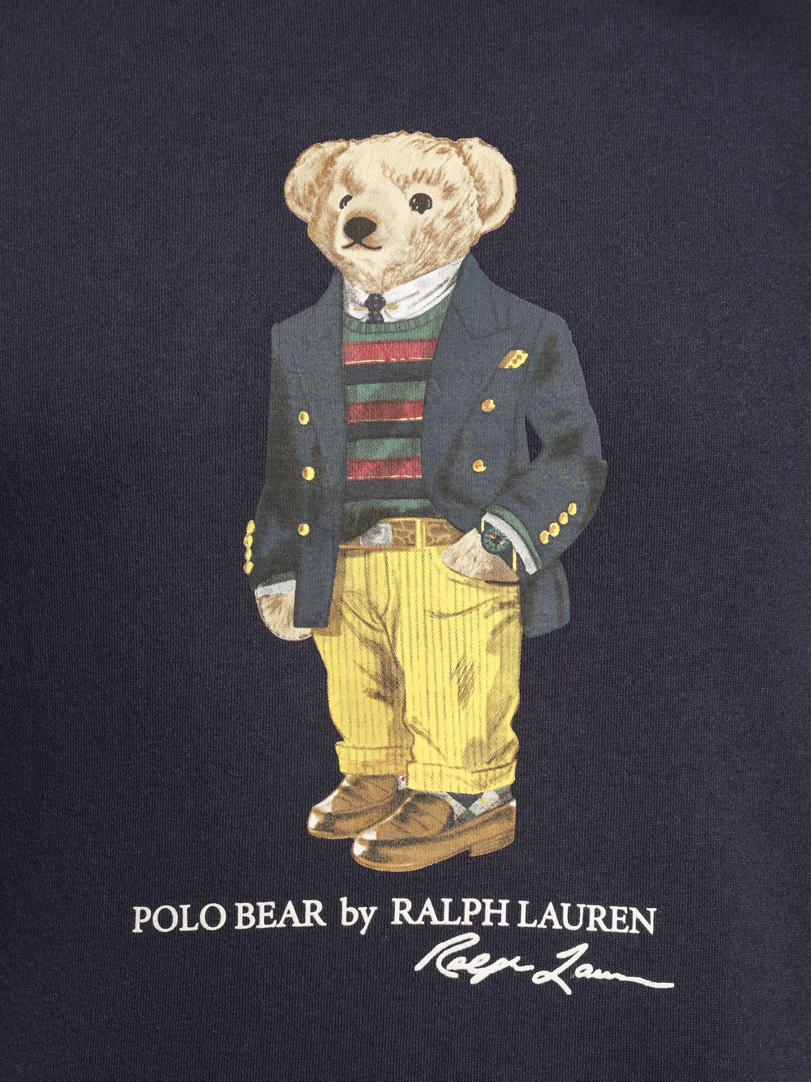 Polo Bear Fleece Hoodie in Cruise Navy