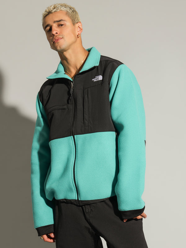 The north face Denali 2 Fleece Jacket in Black | Glue Store