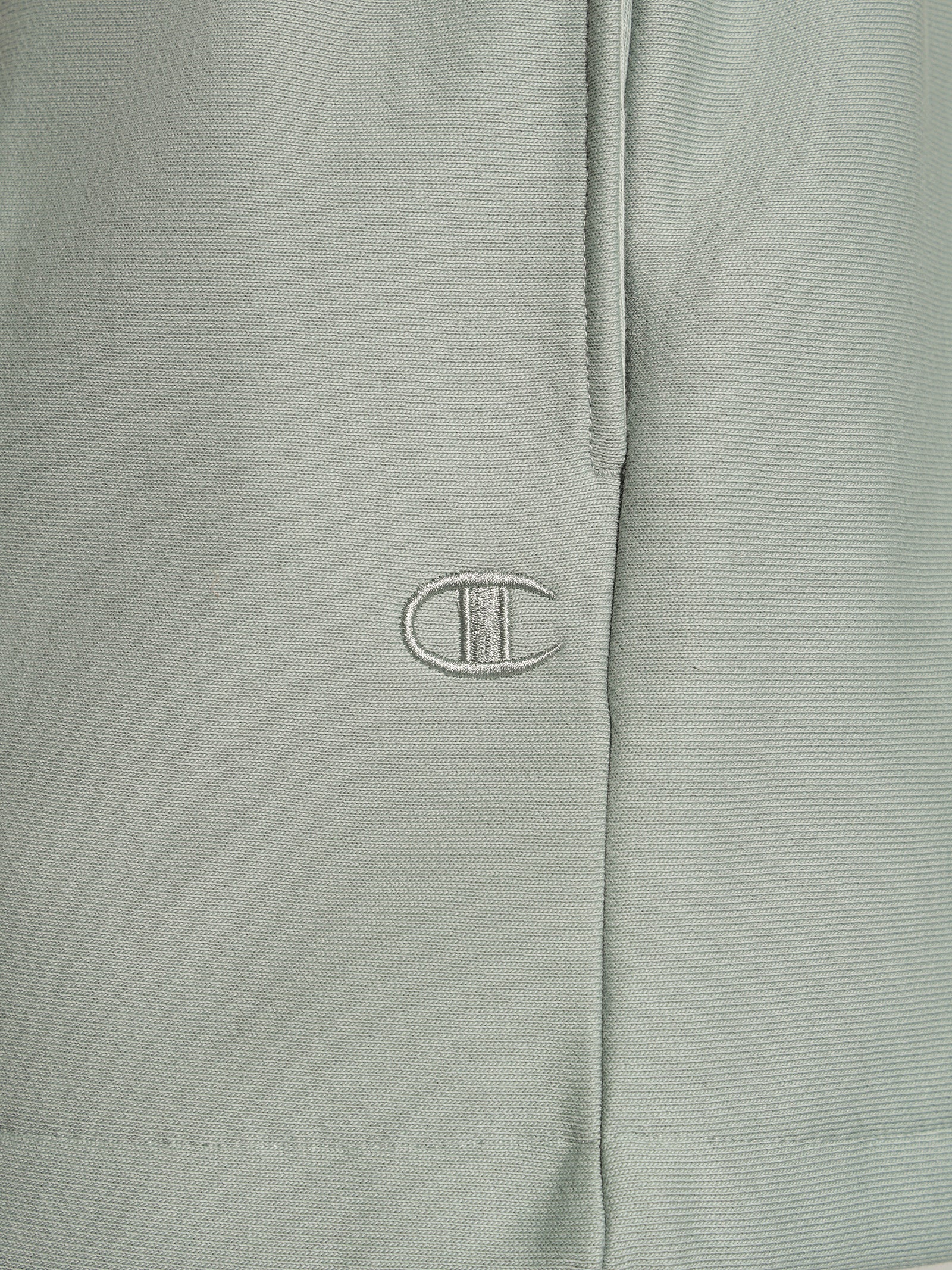 Reverse Weave OD C Logo Relax Shorts in Sage Shimmer Green