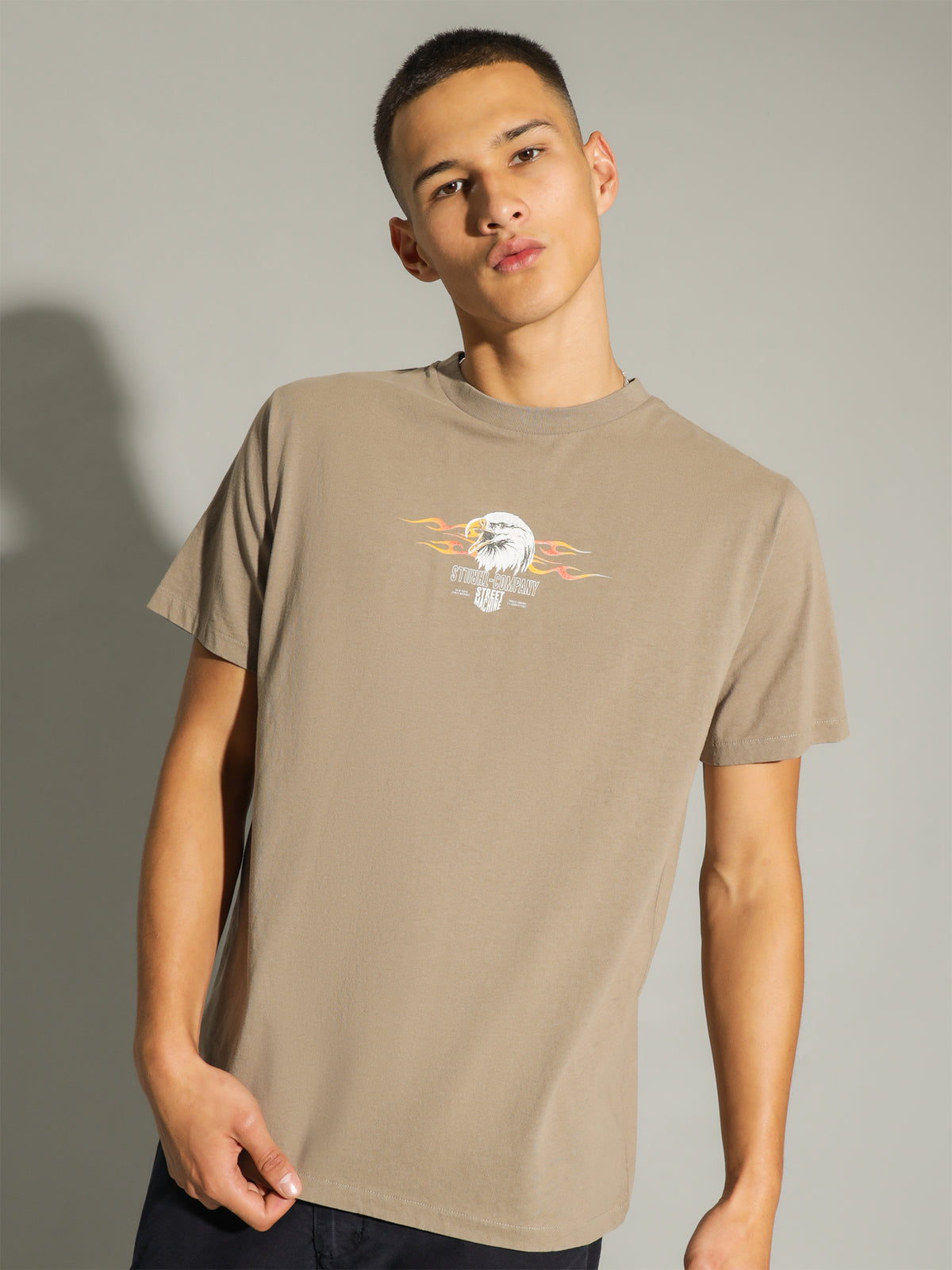 Thrills Blaze Merch Fit T-Shirt in Desert | Desert