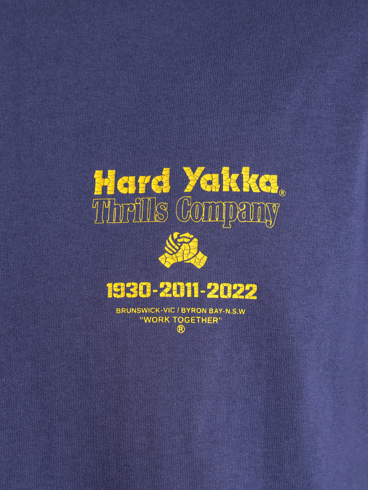 Thrills Hard Yakka Beginning To Present T-Shirt in Yakka Blue | Blue