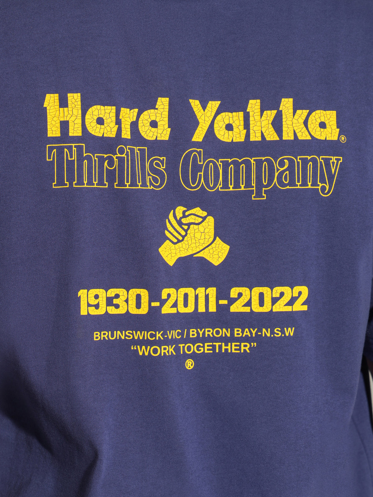 Thrills Hard Yakka Beginning To Present T-Shirt in Yakka Blue | Blue