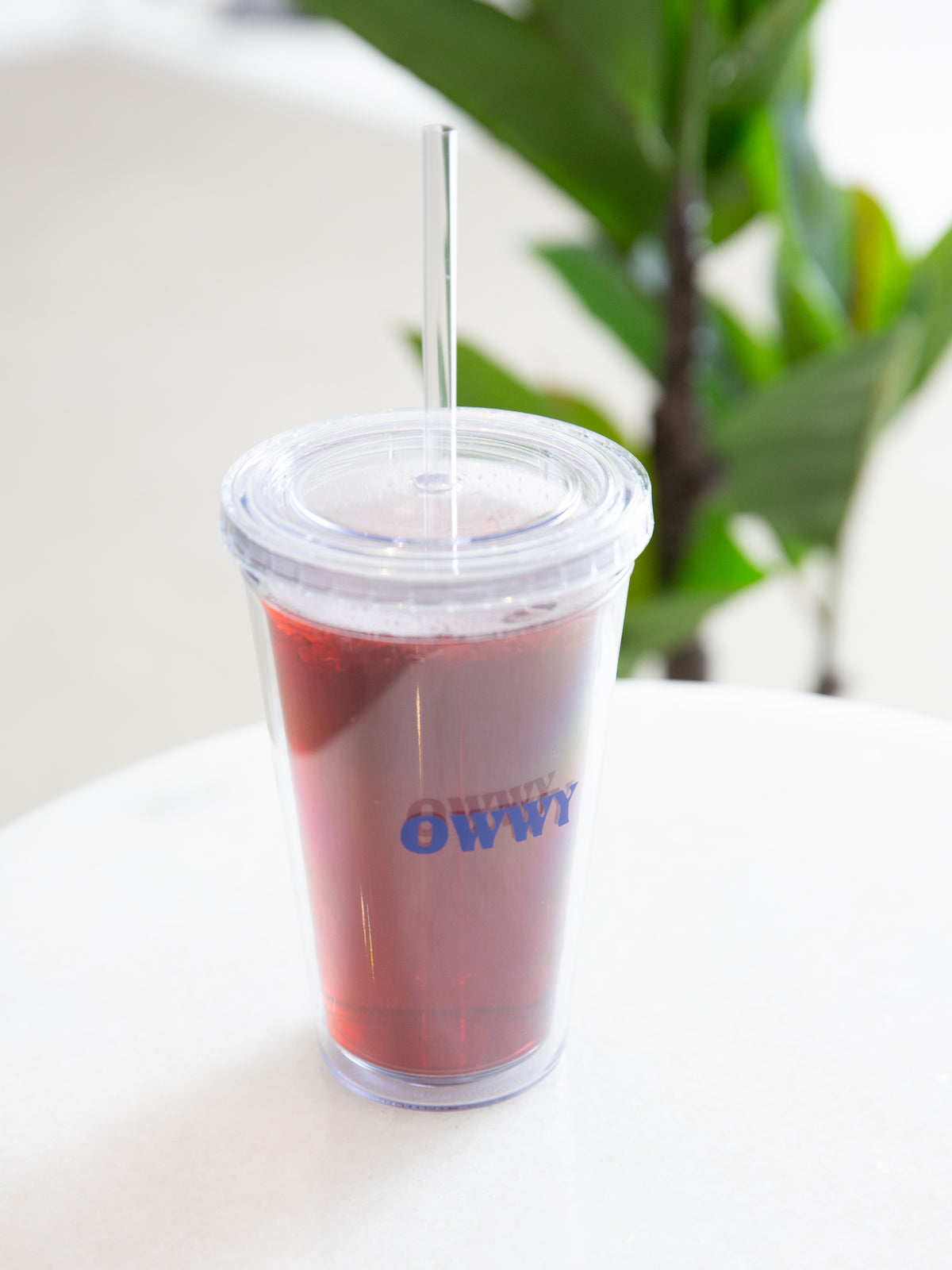 Once We Were Young OWWY Reusable Iced Drink Tumbler & Straw | Clear