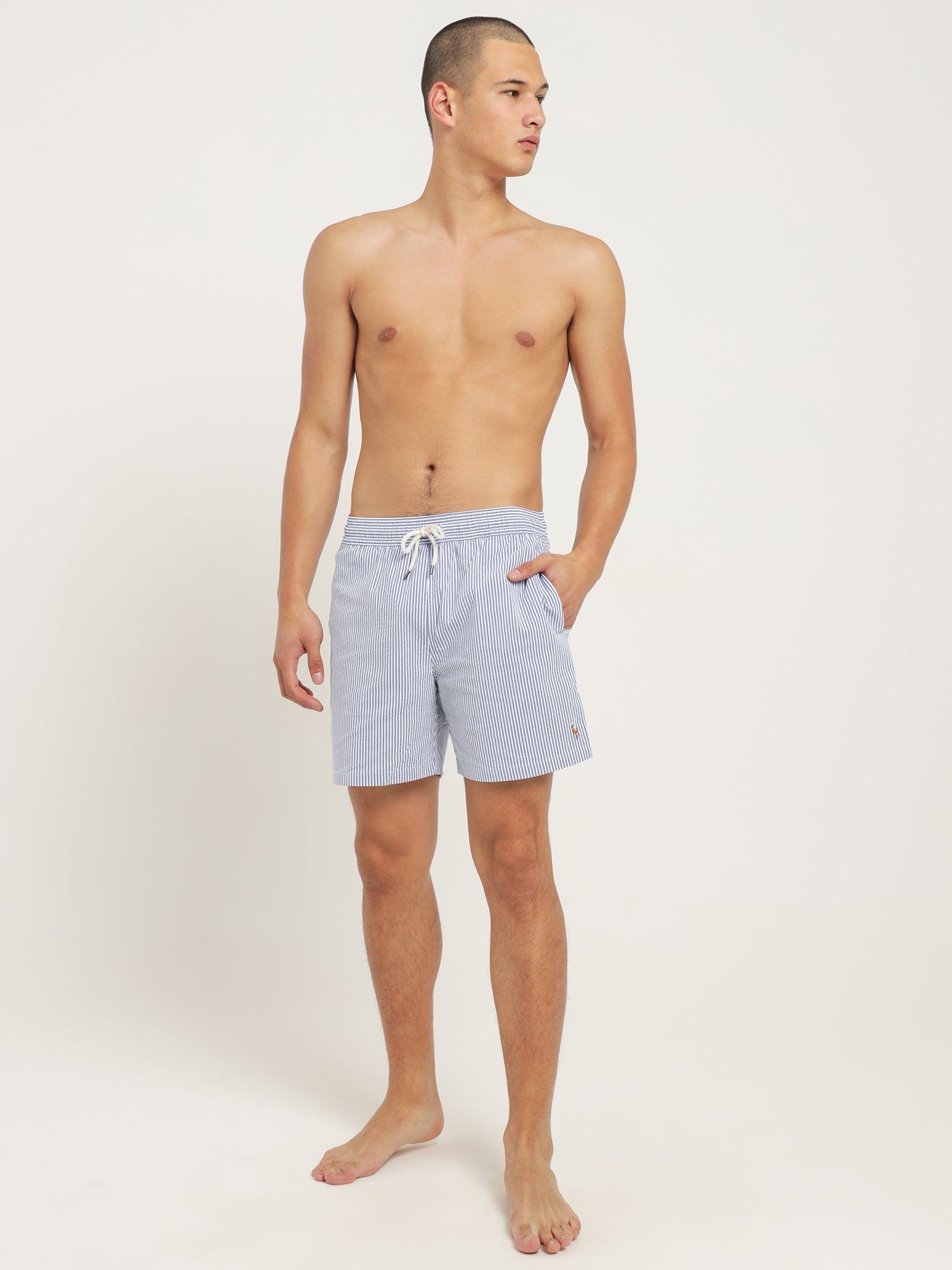 Striped Traveller Swim Shorts in Cruise Royal Seersucker