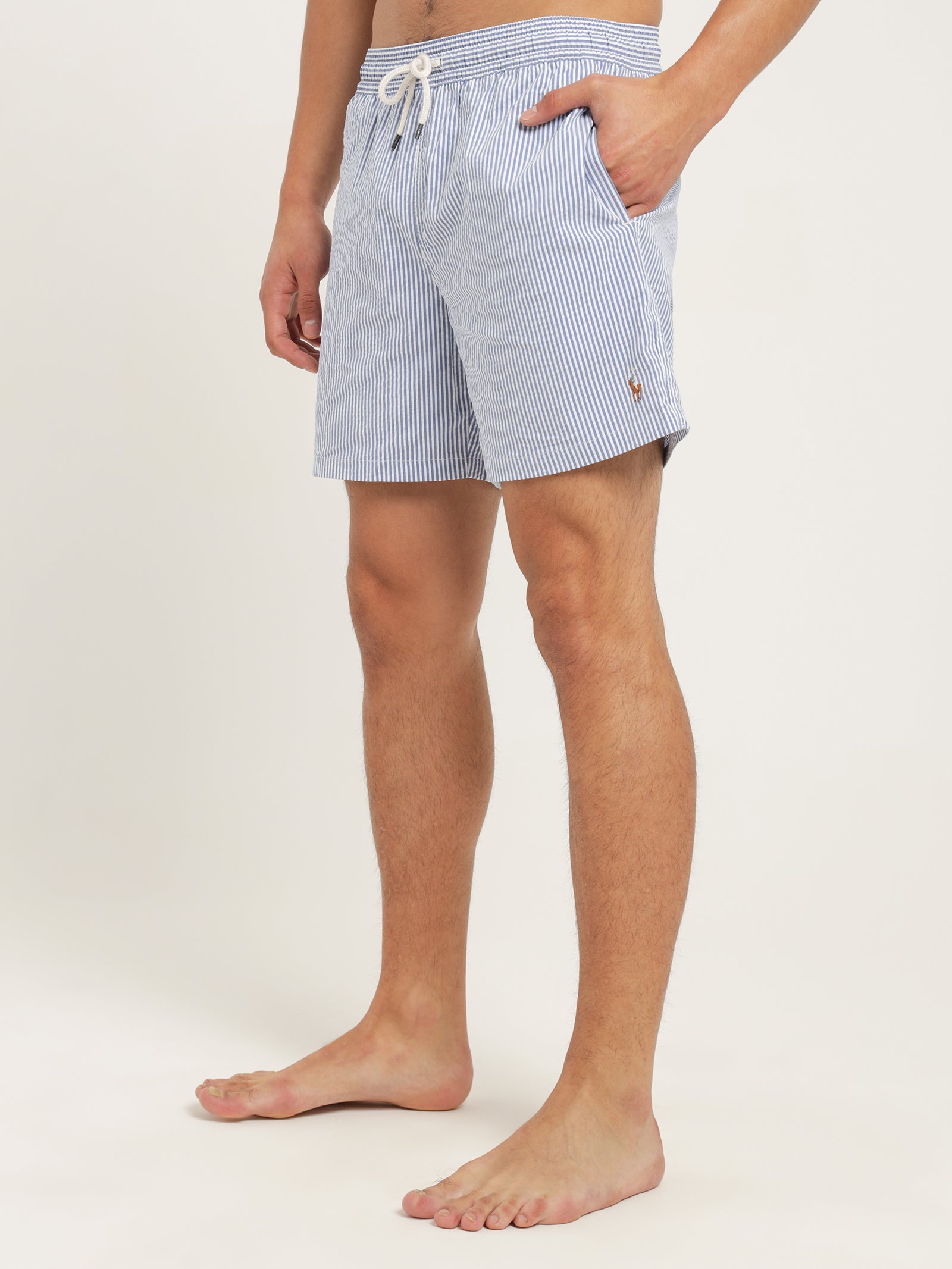 Striped Traveller Swim Shorts in Cruise Royal Seersucker