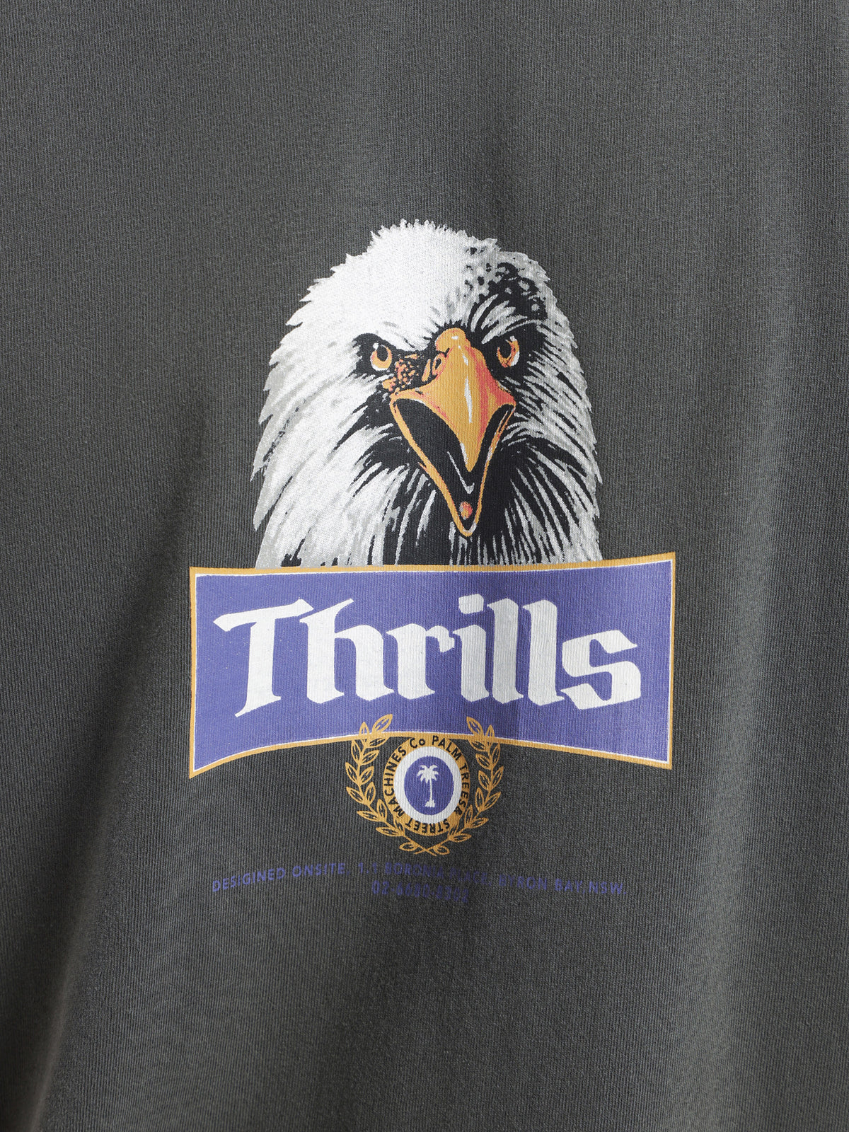 Thrills Rise Above Merch Fit T-Shirt in Black | Black