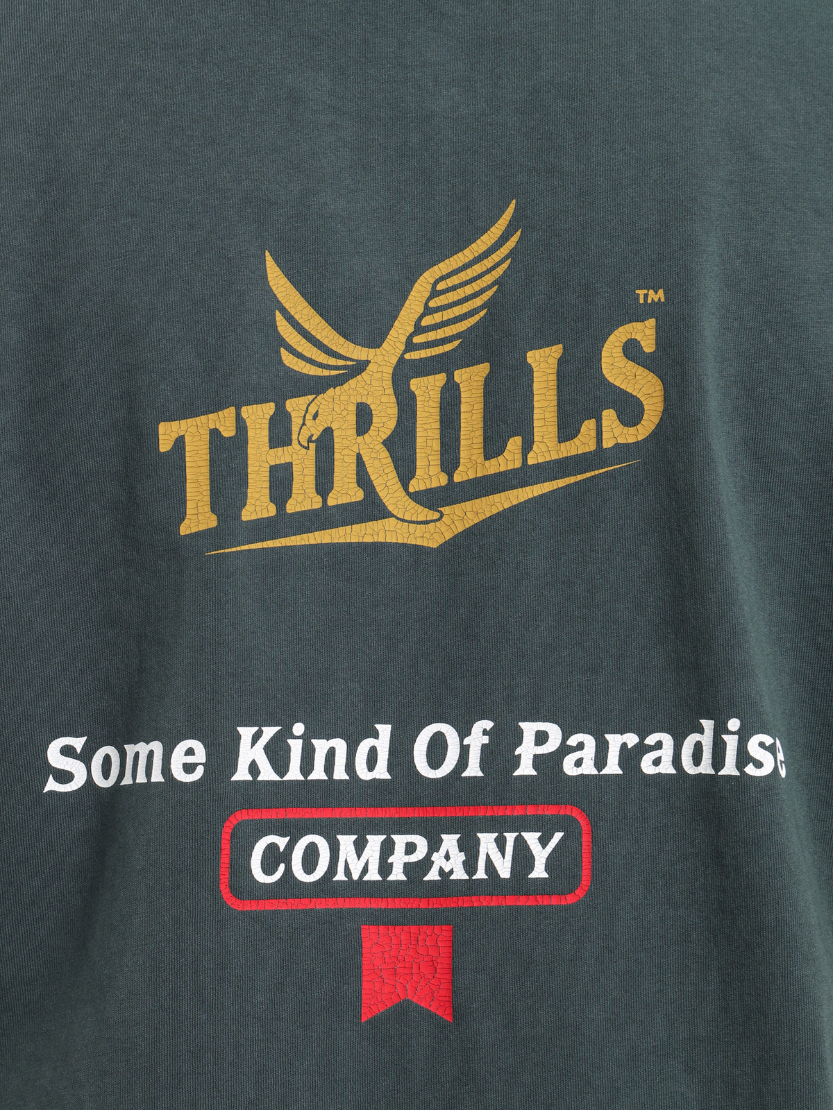 Thrills Golden Paradise Merch Fit T-Shirt in Forest Green | Forest