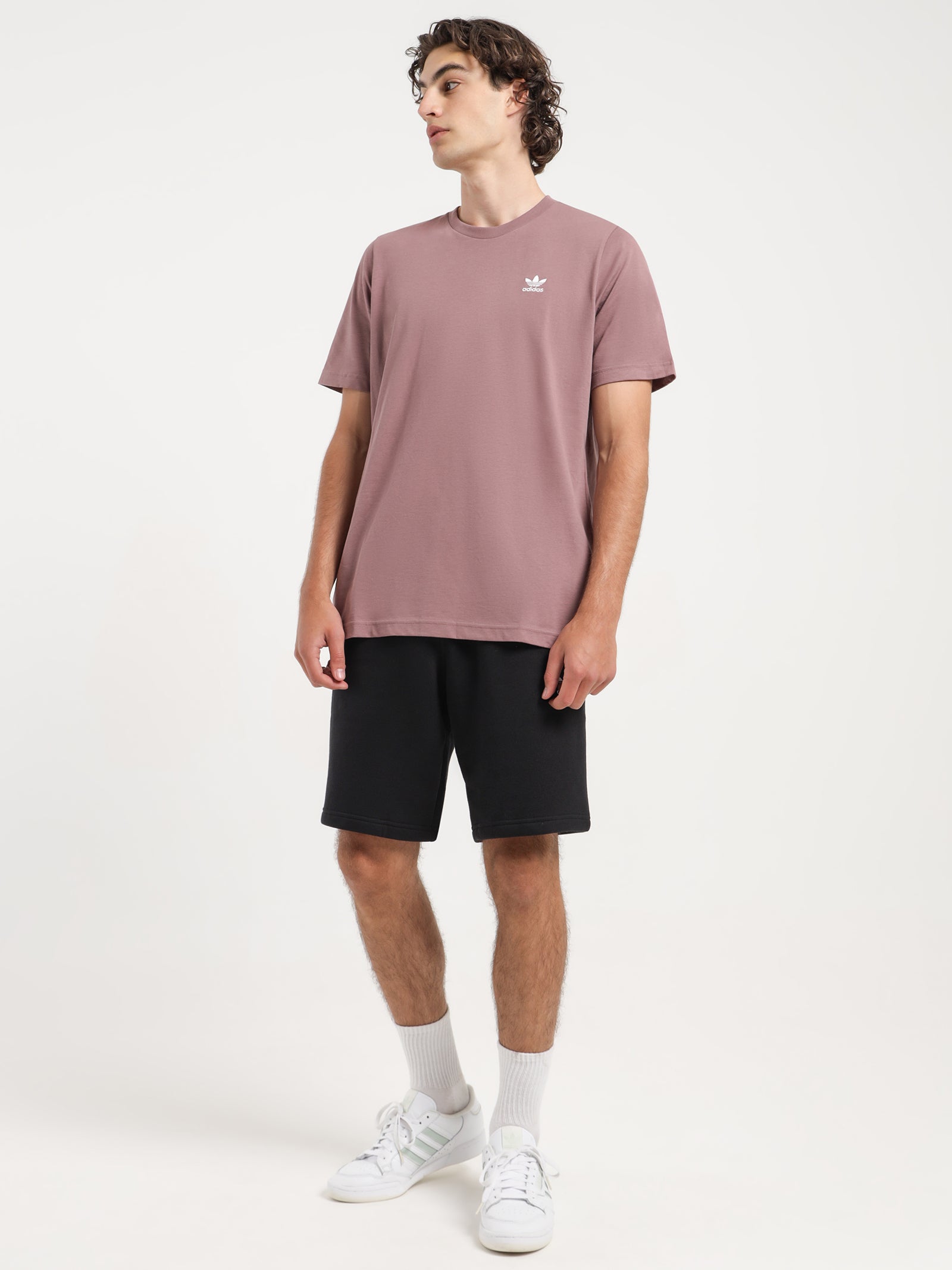 Adicolor Essentials Trefoil T-Shirt in Purple