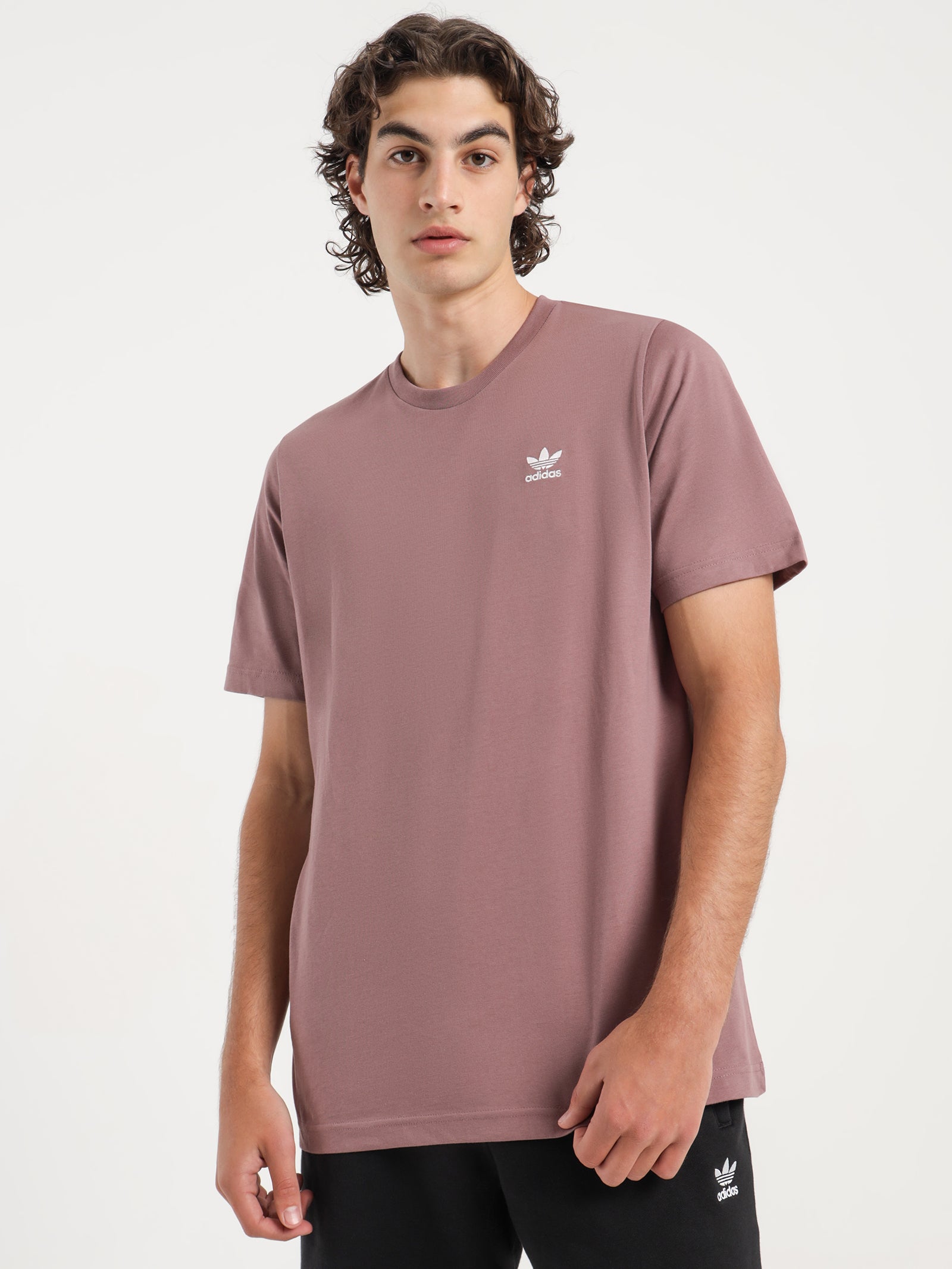 Adicolor Essentials Trefoil T-Shirt in Purple