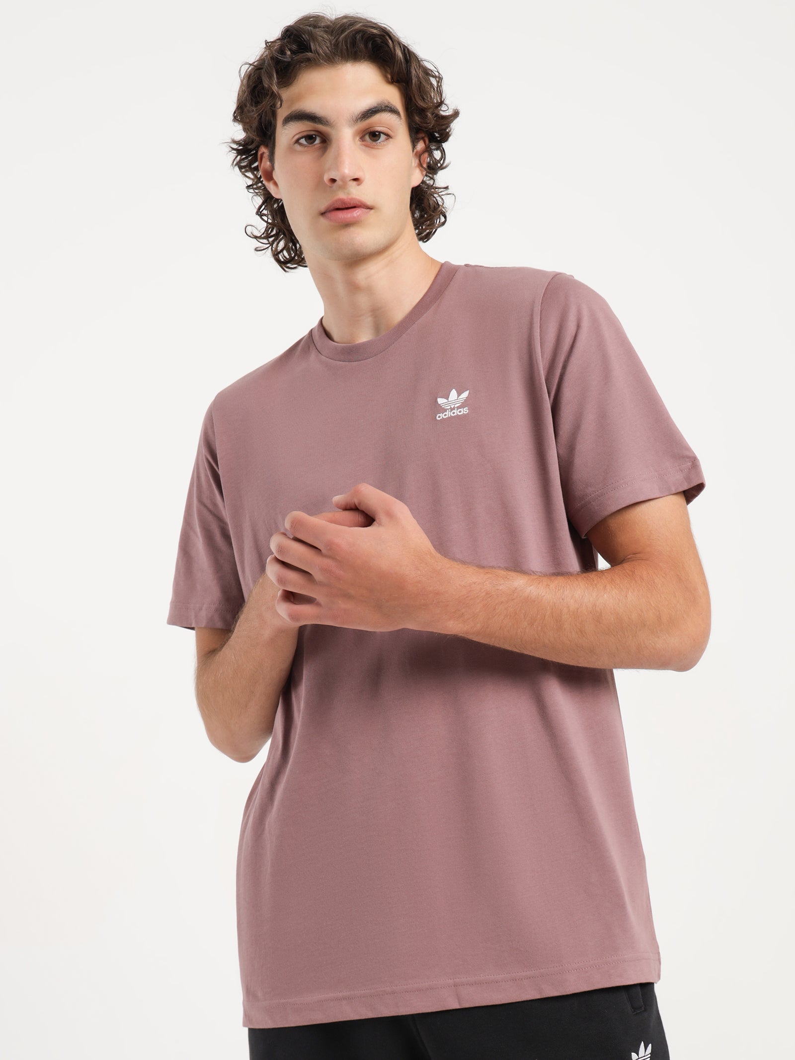 Adicolor Essentials Trefoil T-Shirt in Purple