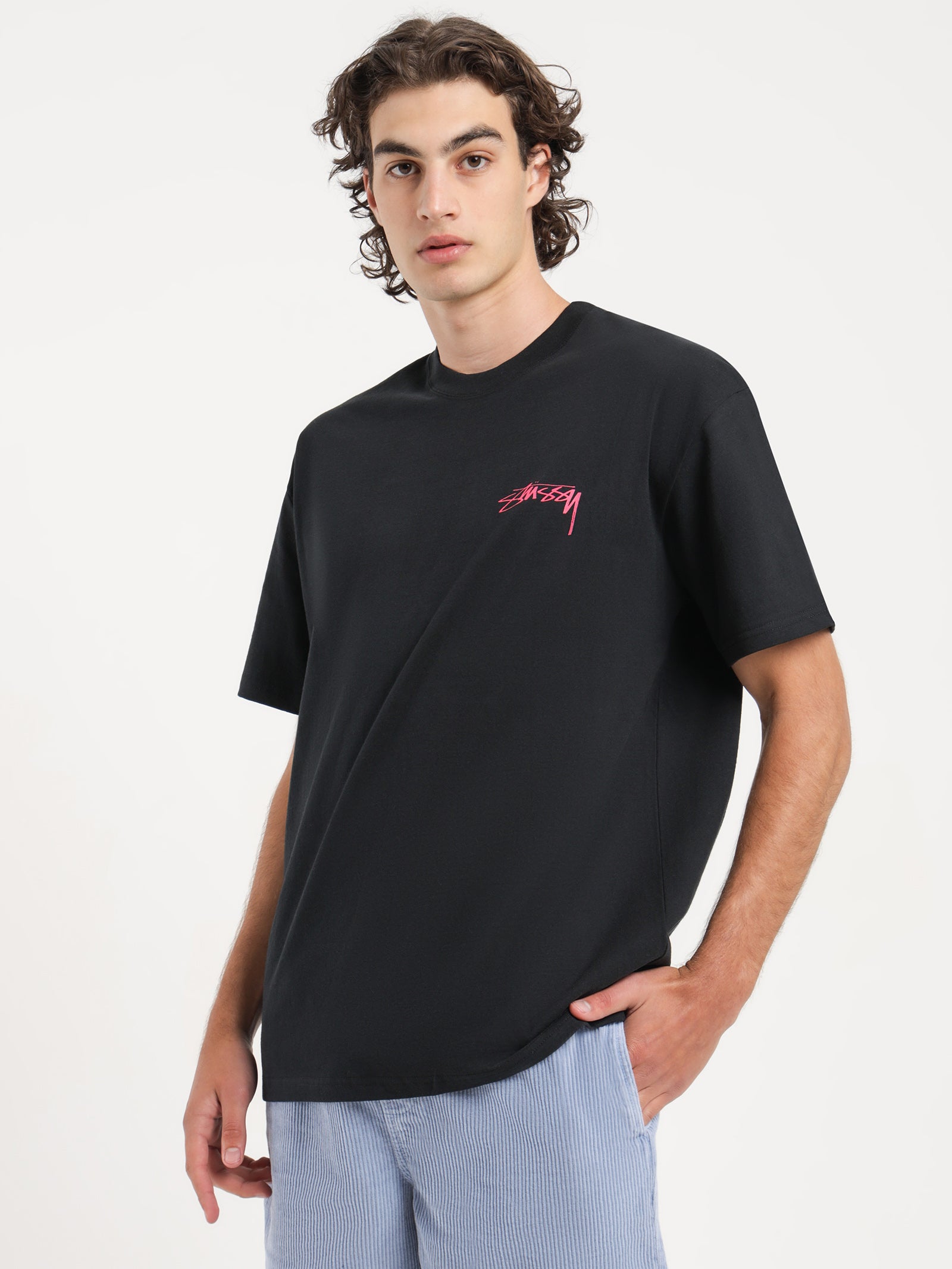 Stussy Sphinx Heavyweight T-Shirt in Black Black | Glue Store