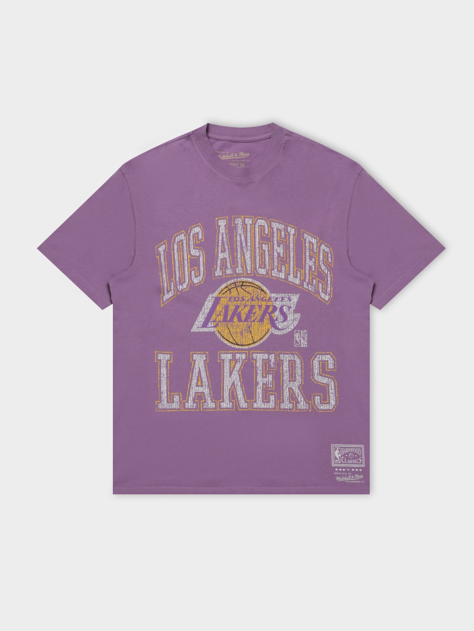 Los Angeles Lakers T-Shirt in Faded Purple - Glue Store NZ