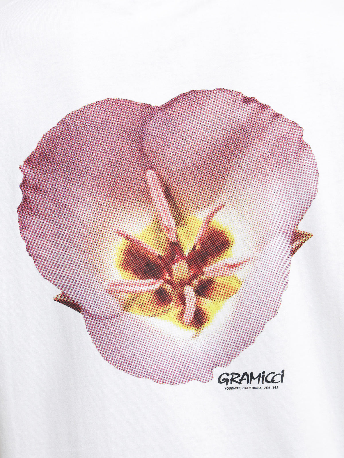 Gramicci Flower T-Shirt in White | White