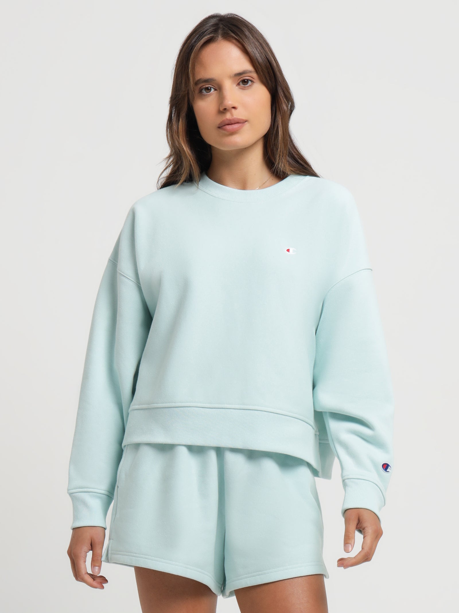 Light blue champion sweatshirt on sale womens