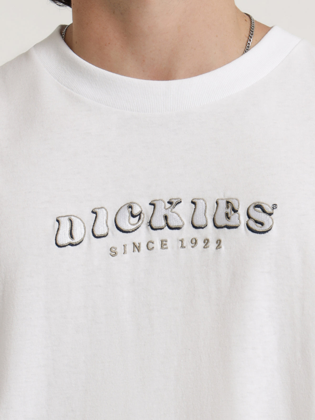 Dickies Cleaver T-Shirt in White | White