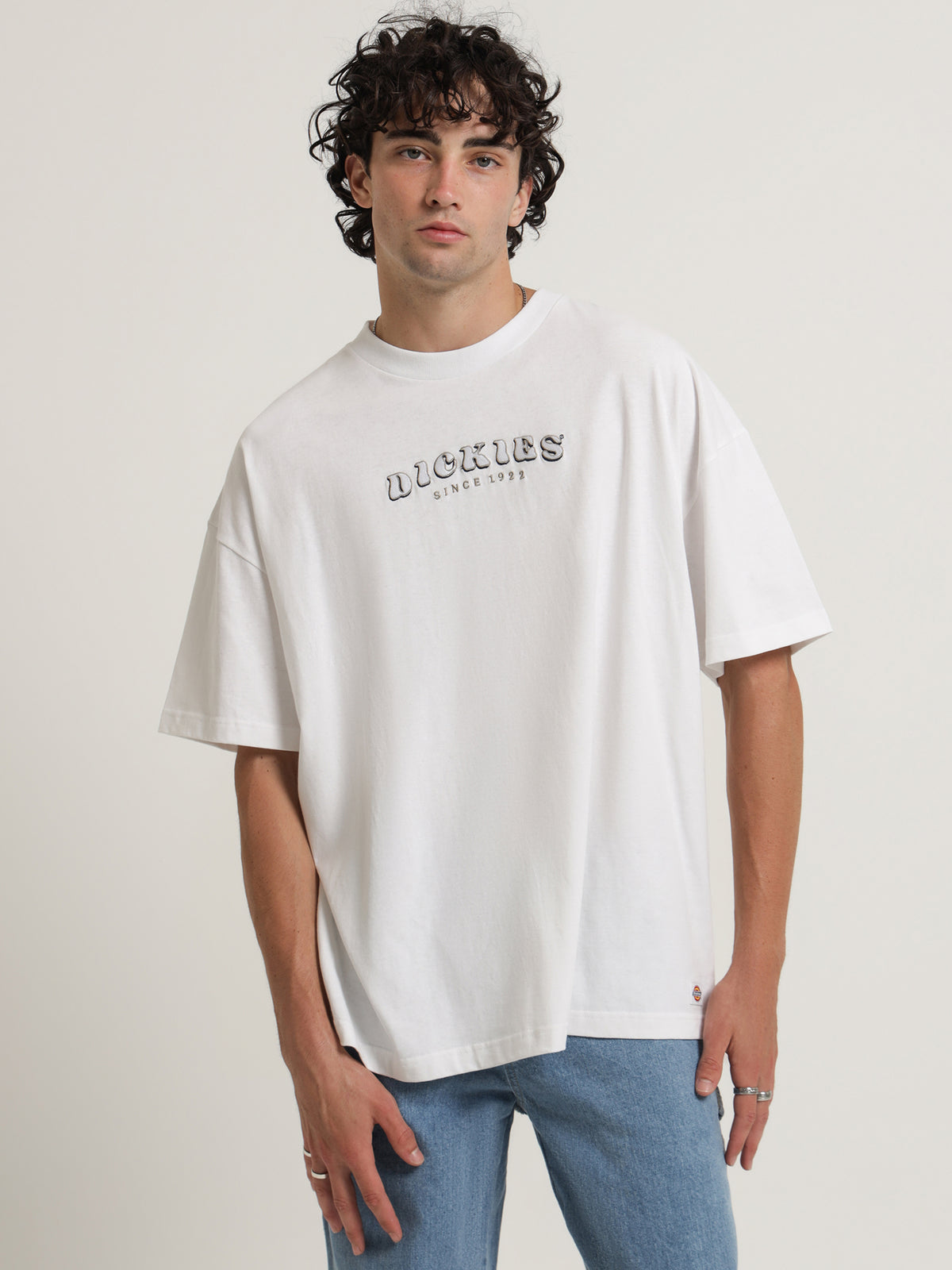 Dickies Cleaver T-Shirt in White | White