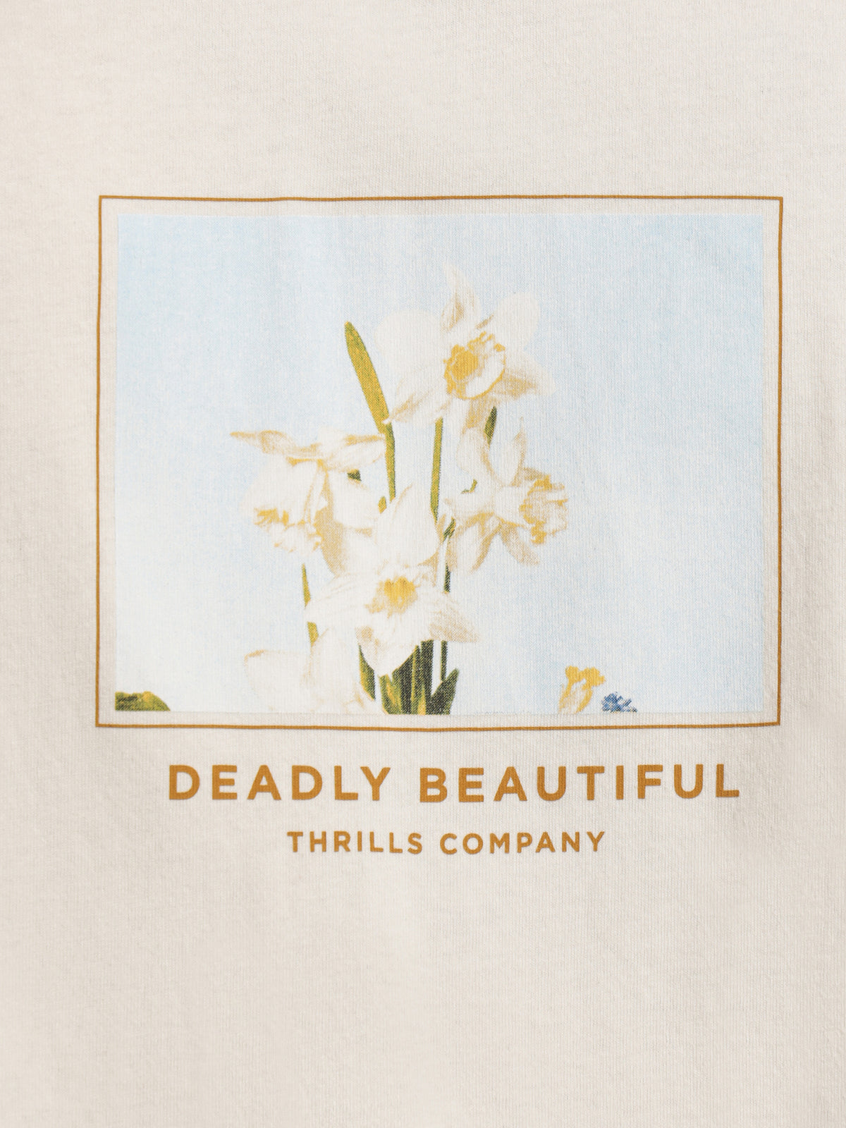 Thrills Deadly Beautiful Merch Fit T-Shirt in Heritage White | Vintage Wh