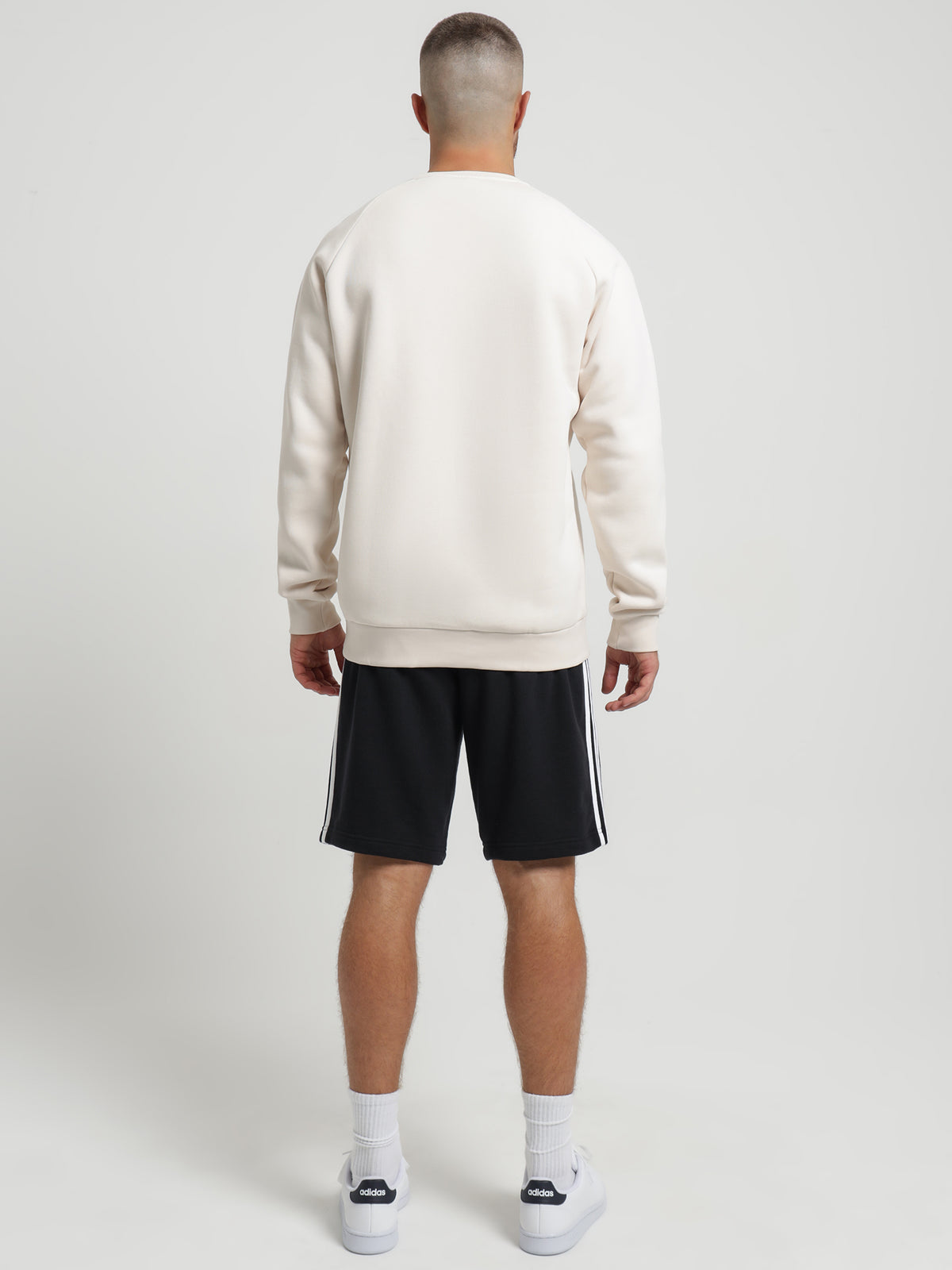 Adidas Trefoil Essentials Crewneck Sweatshirt in Wonder White | White