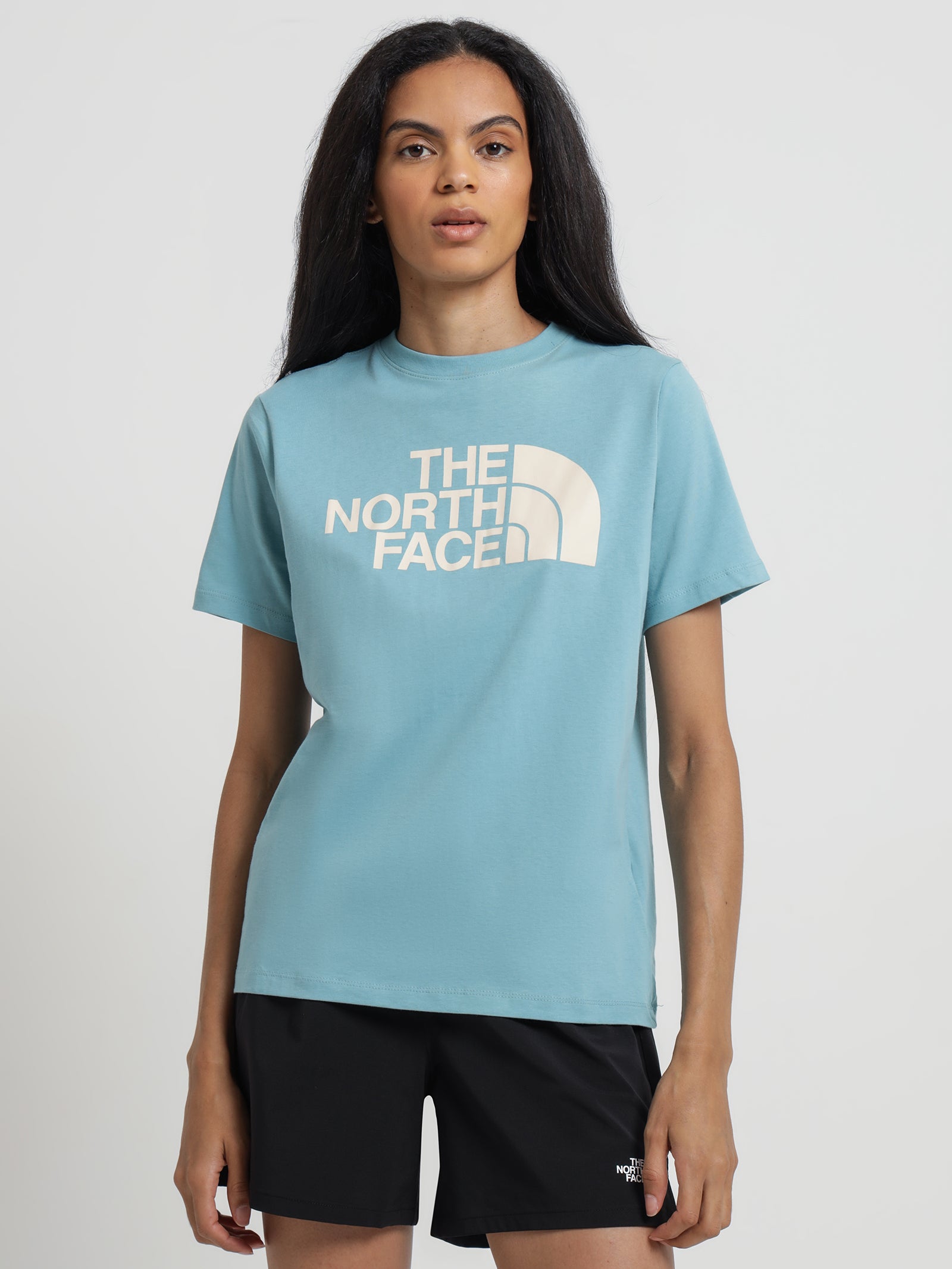 Short Sleeve Half Dome T-Shirt in Blue