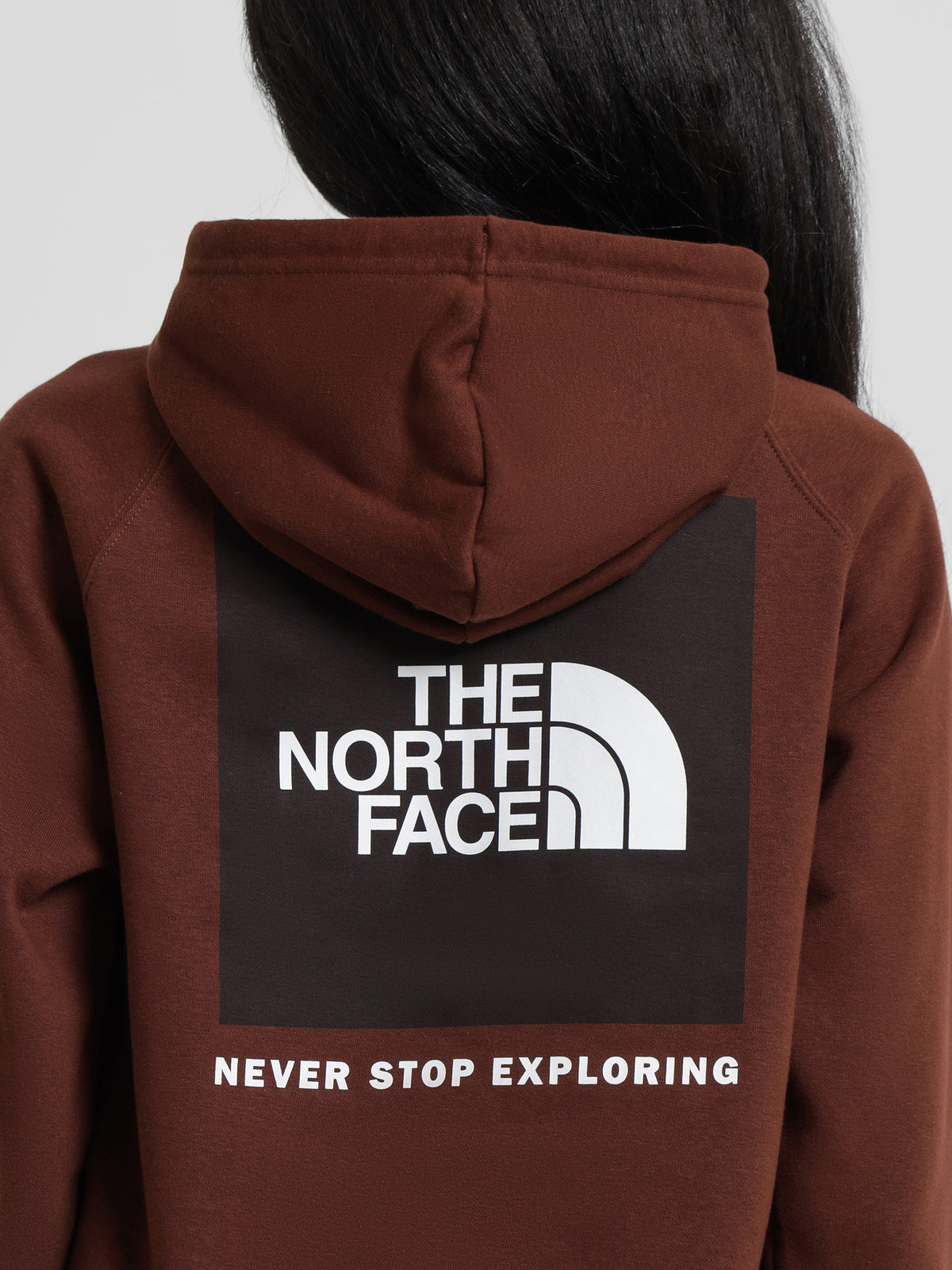 The North Face Box NSE Pullover Hoodie in Dark Oak | Dark Oak