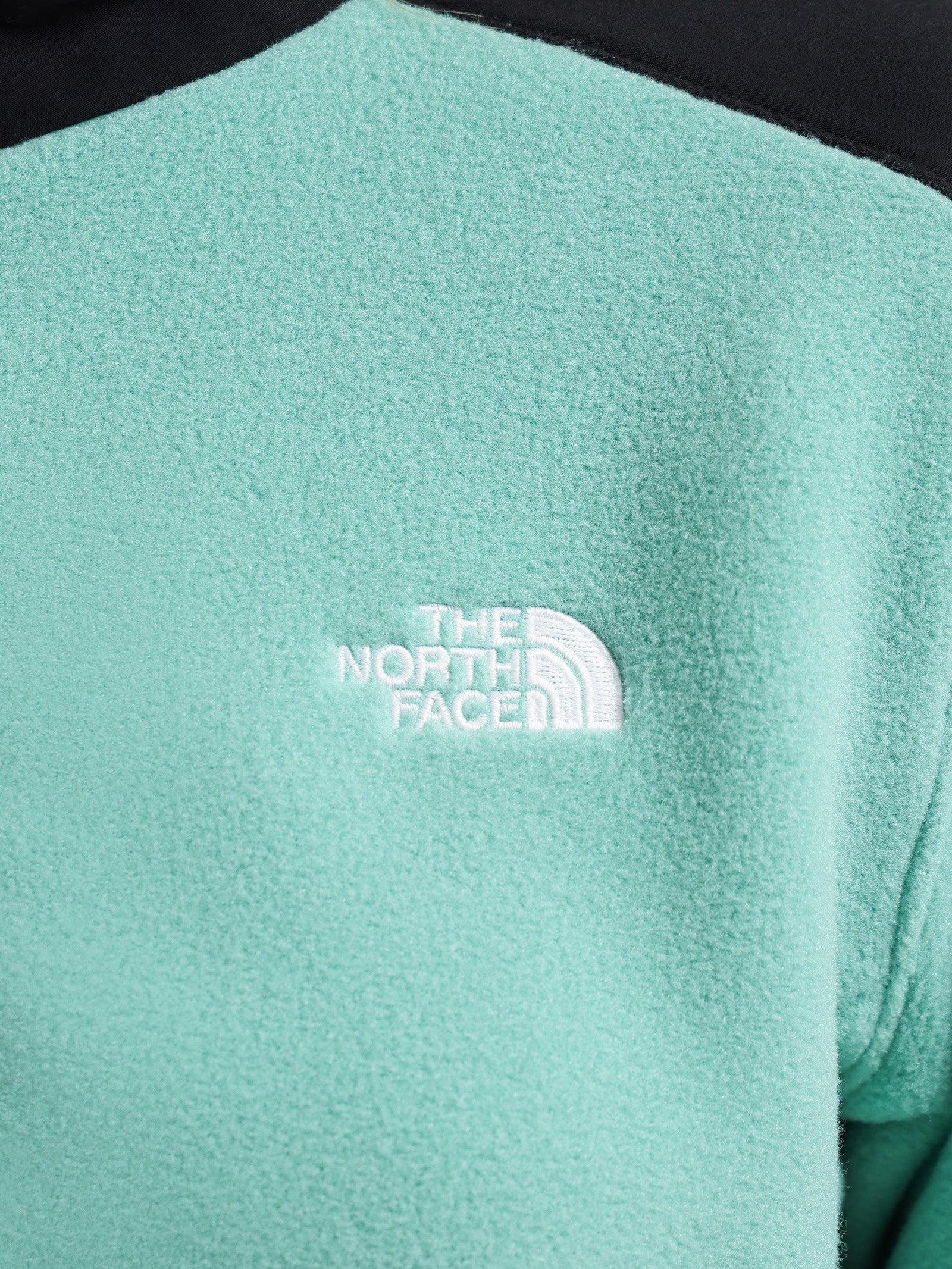 Alpine Polartec® 200 Fleece Full-Zip Jacket in Wasabi Green