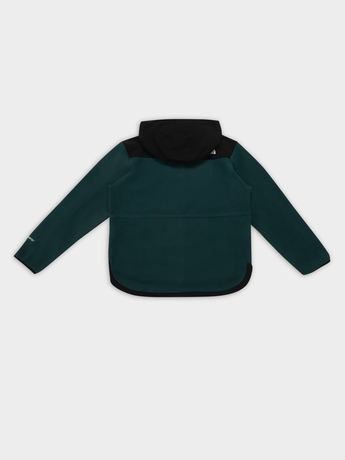 The North Face Denali Hoodie in Green | Green