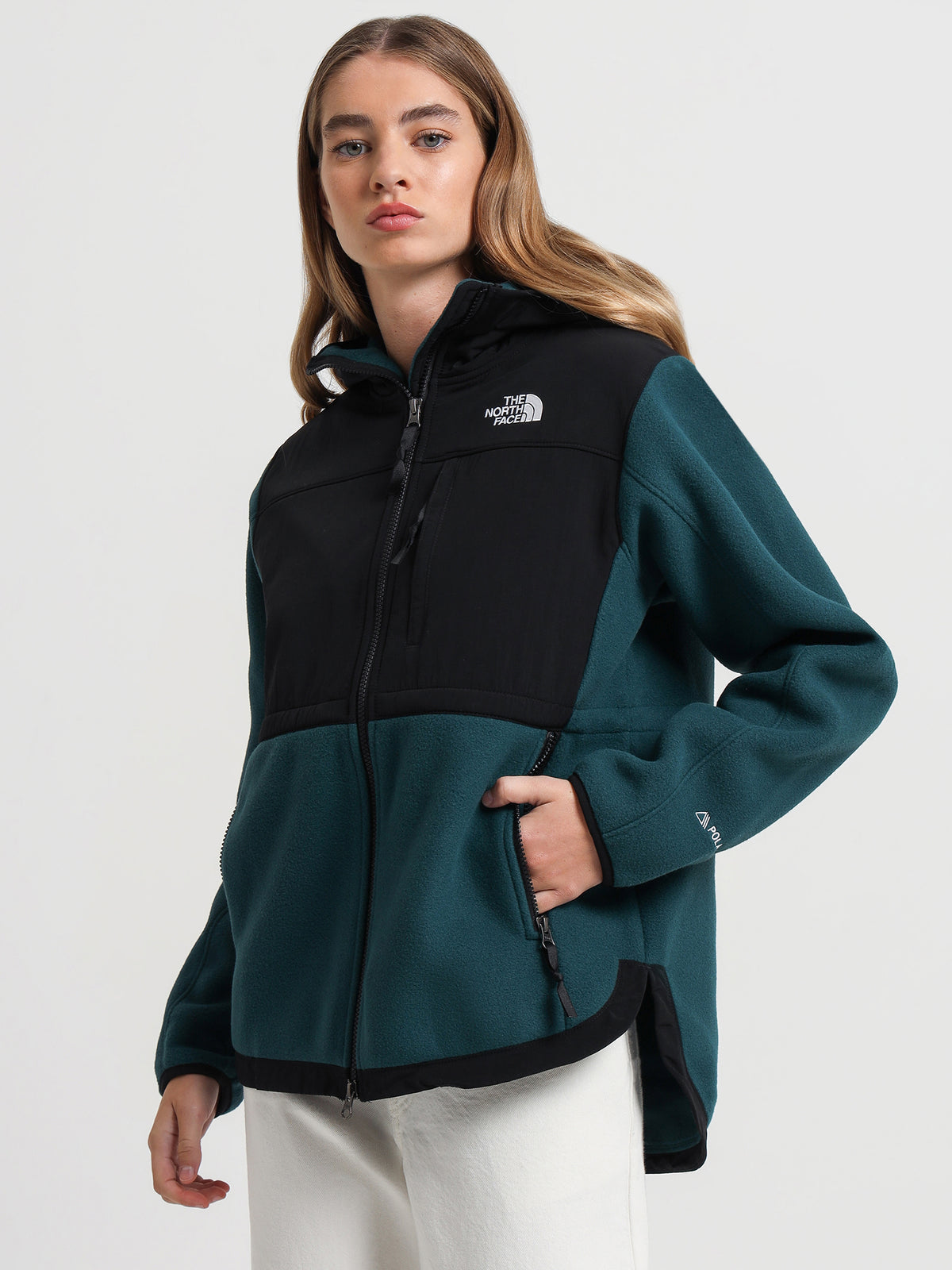 The North Face Denali Hoodie in Green | Green