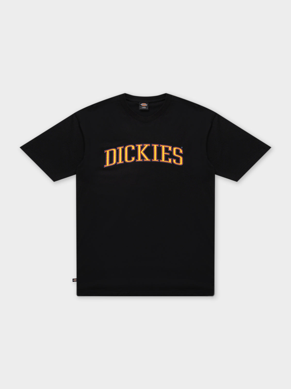 Dickies Collegiate Tri-Colour T-Shirt in Black | Black