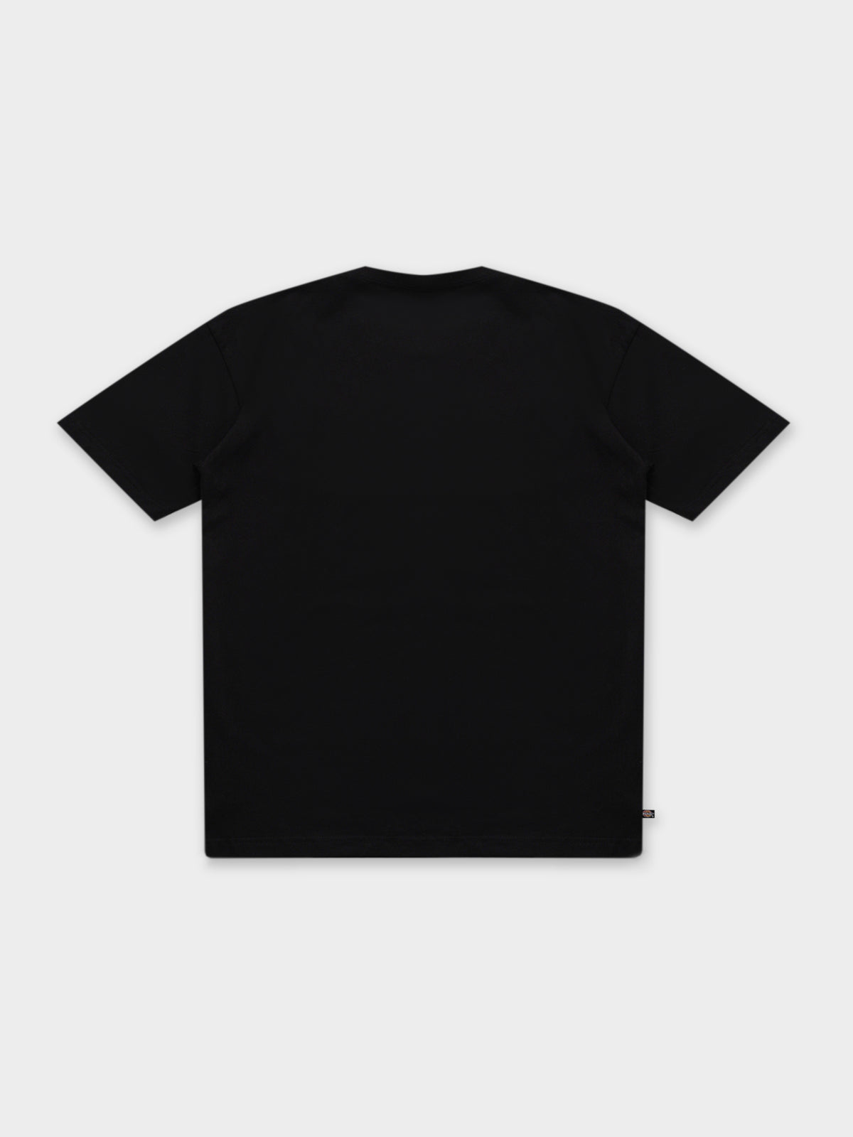 Dickies Collegiate Tri-Colour T-Shirt in Black | Black