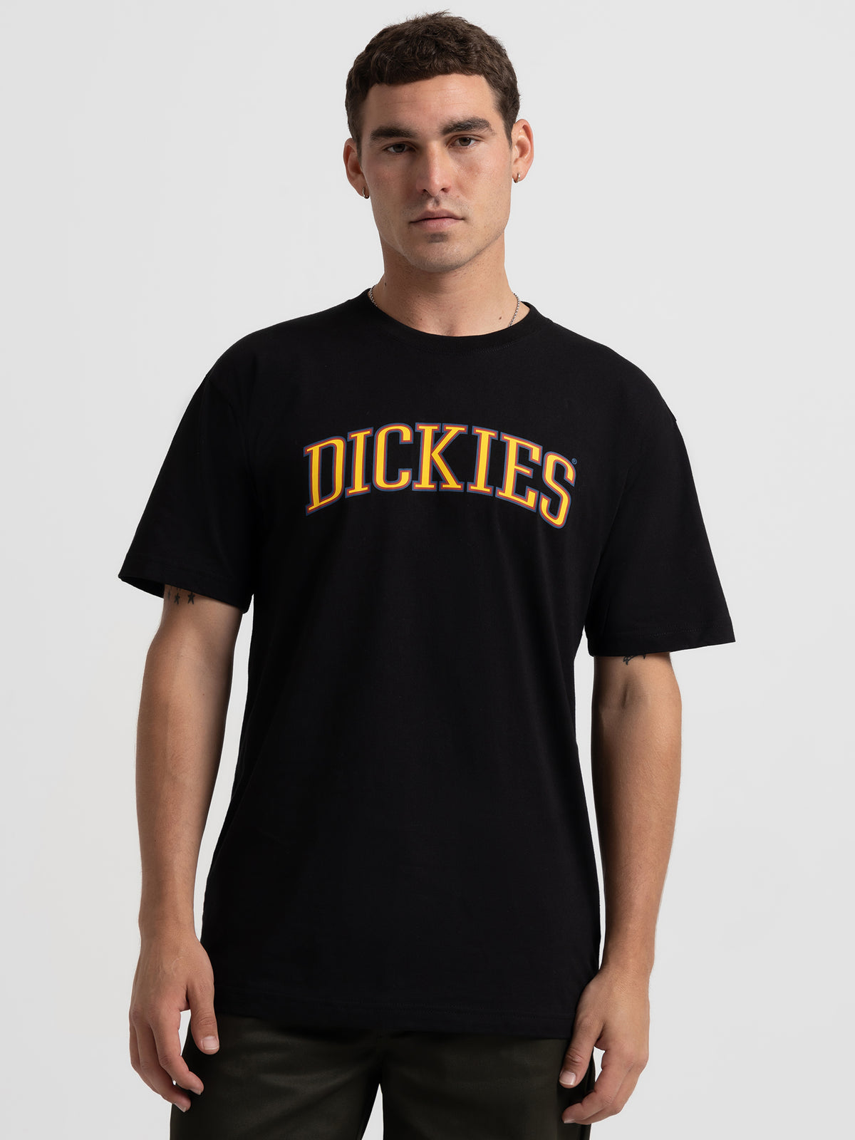 Dickies Collegiate Tri-Colour T-Shirt in Black | Black