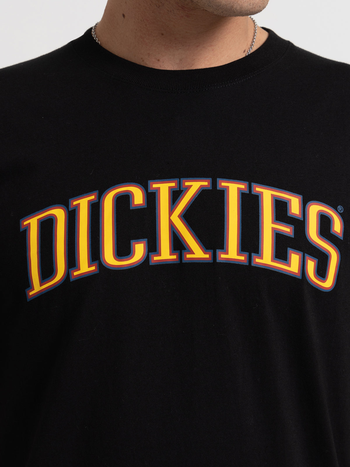 Dickies Collegiate Tri-Colour T-Shirt in Black | Black