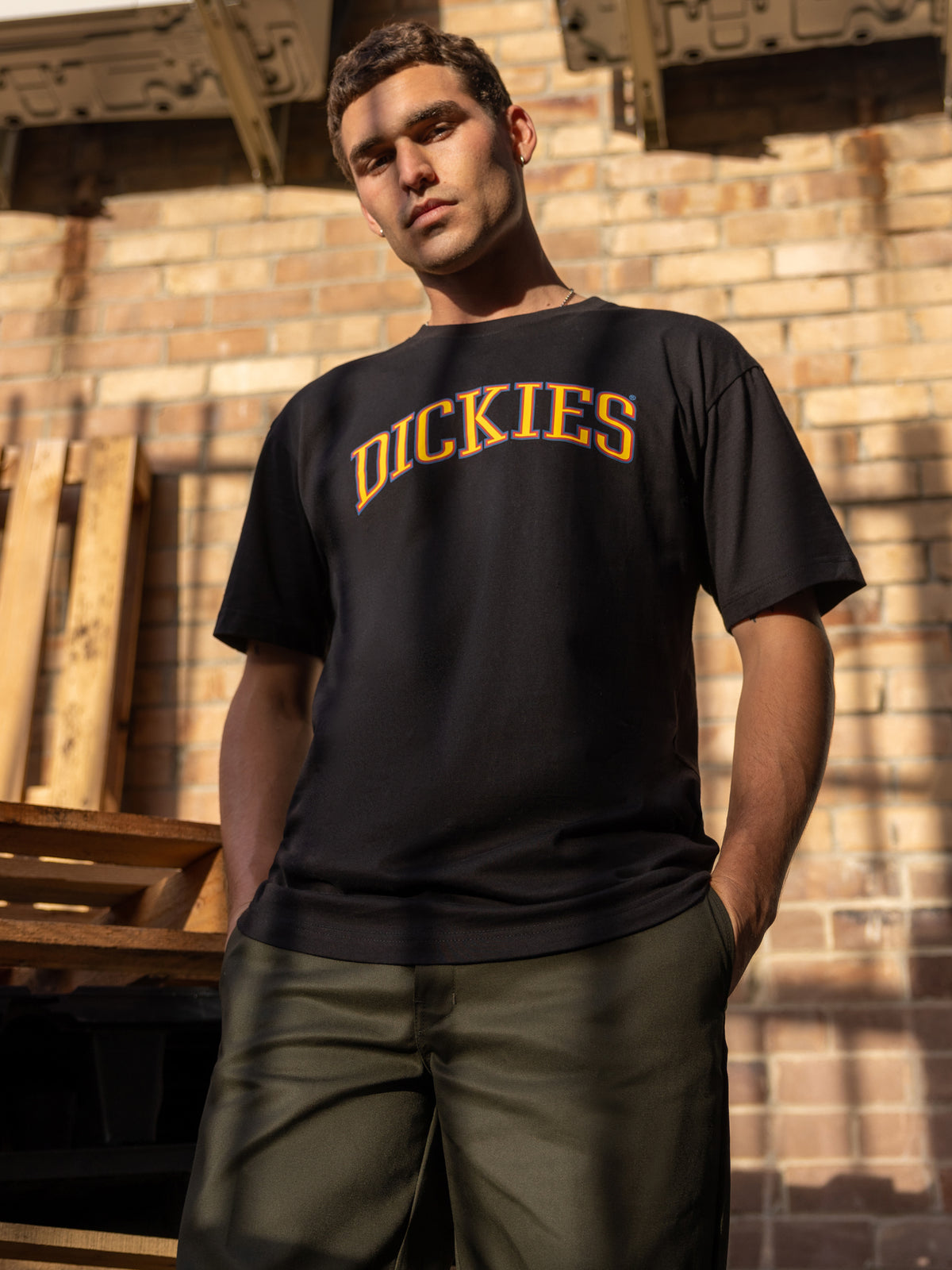 Dickies Collegiate Tri-Colour T-Shirt in Black | Black