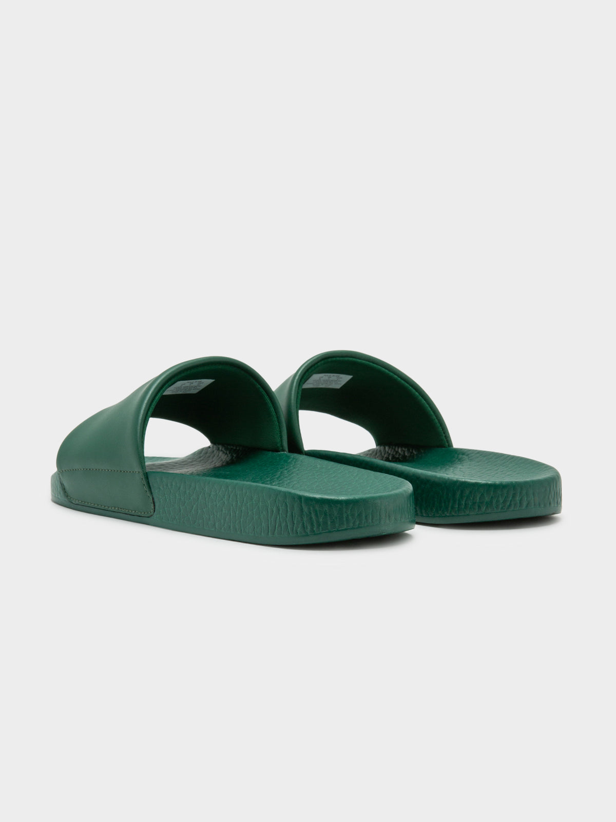 Polo Ralph Lauren Unisex Polo Bear Slides in Green | Green