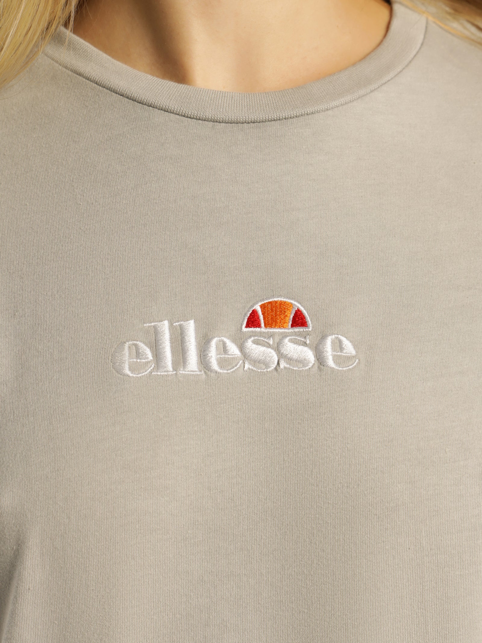 Ellesse Annatto T-Shirt in Grey Grey | Glue Store