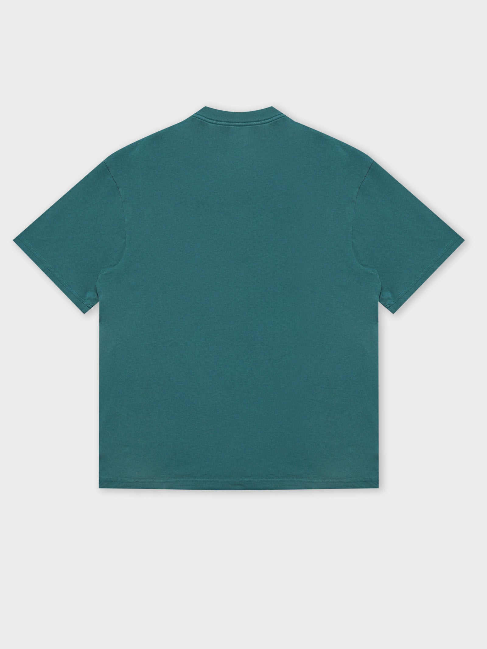 Miami Dolphins T-Shirt in Teal - Glue Store